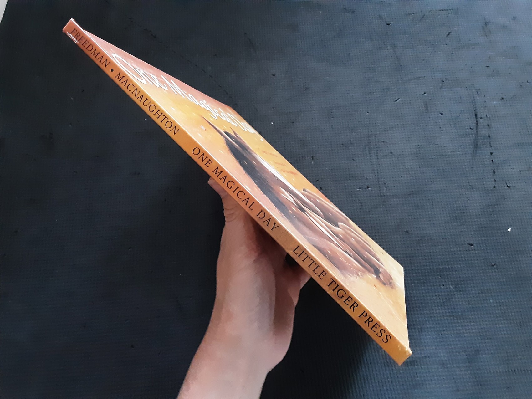 หนังสือนิทานปกแข็ง ** 🍅🍓 ONE MAGICAL DAY