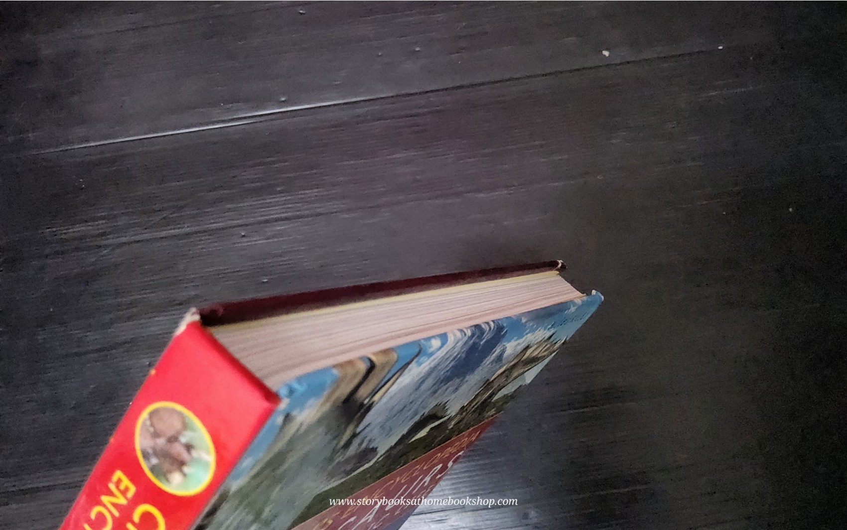 KNOWLEDGE BOOK** ♥️CHILDREN'S ENCYCLOPEDIA DINOSAURS AND PREHISTORIC LIFE