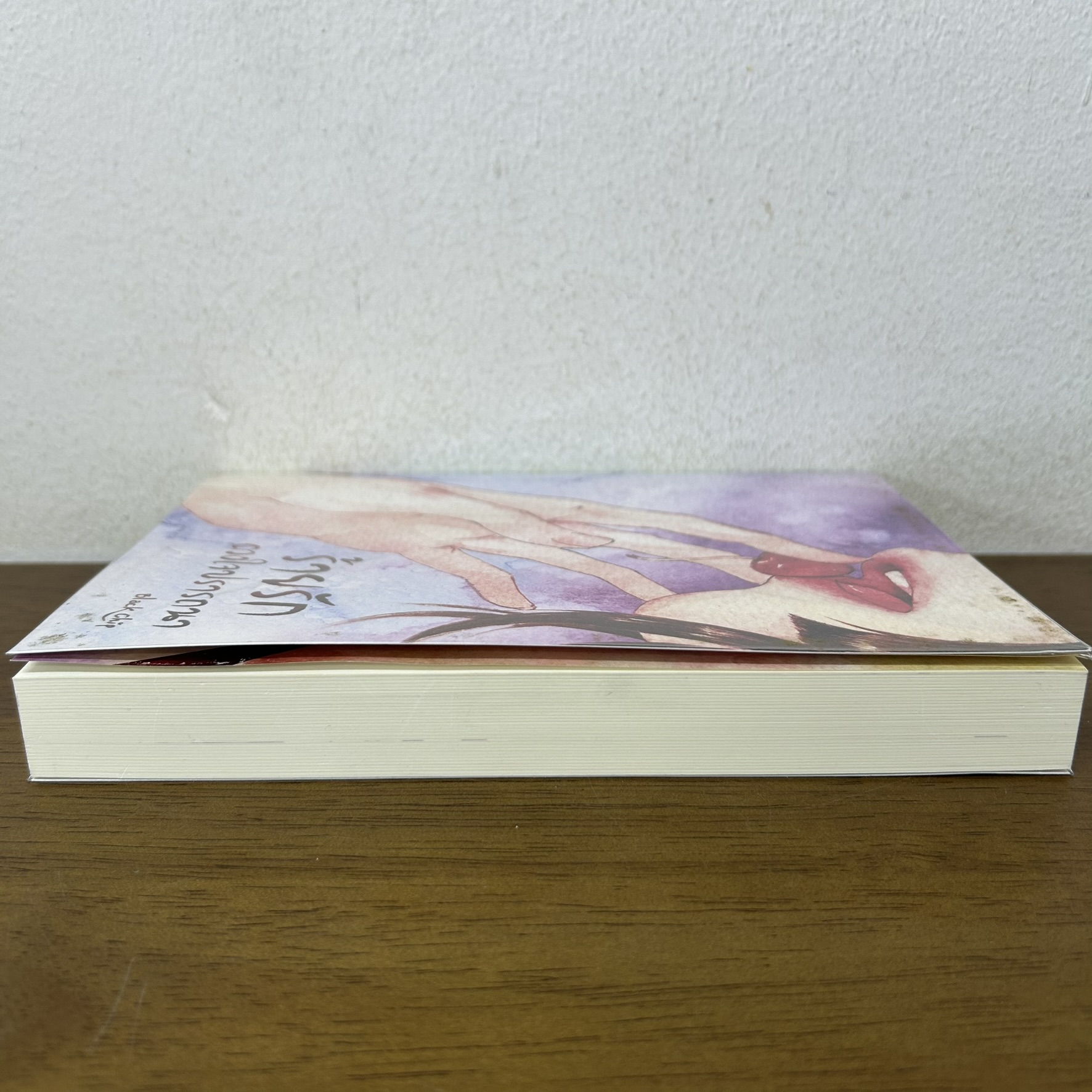 ร้ายรัก ดวงใจปรารถนา ... Black Chip (มือสอง) นิยาย โรมานซ์ ทำมือ