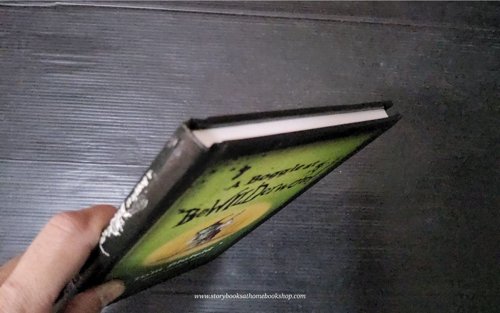 วรรณกรรมเยาวชน แนะนำ** 🍅🍓A BOGGLE AT BEWILDERWOOD BY TOM BLOFELD