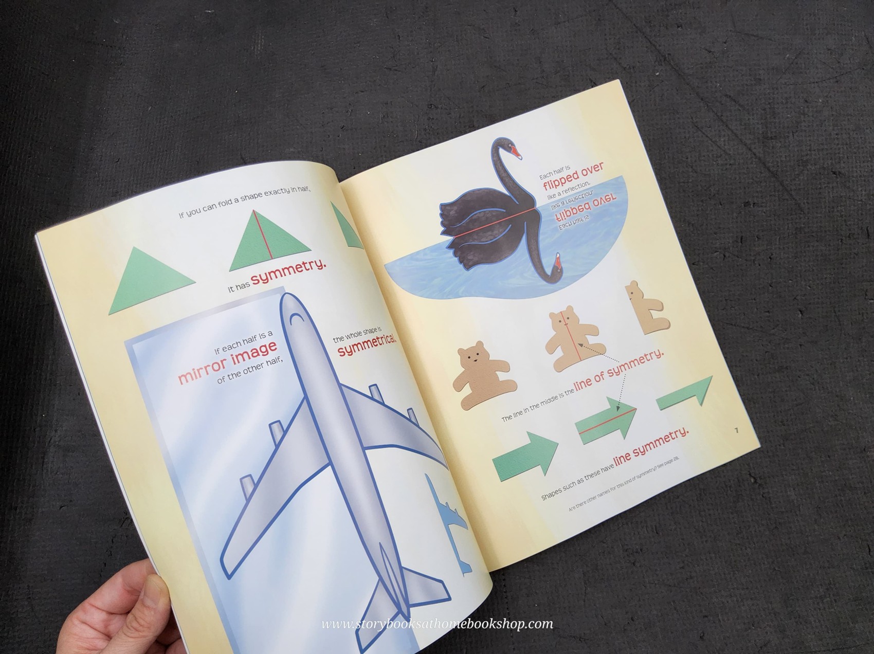 หนังสือนิทานปกอ่อน** 🍅🍅SEEING SYMMETRY