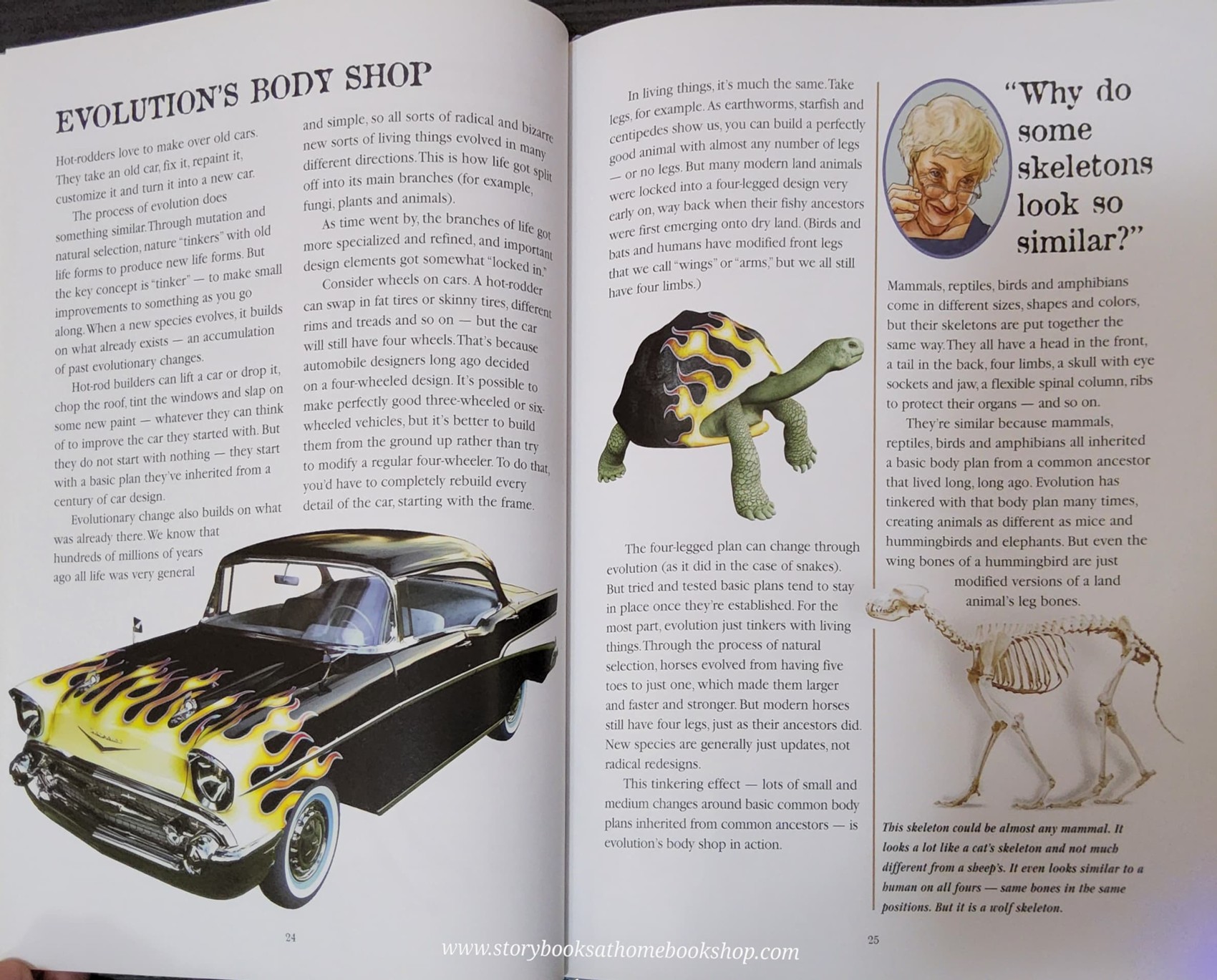 KNOWLEDGE BOOK** ð
ð
EVOLUTION