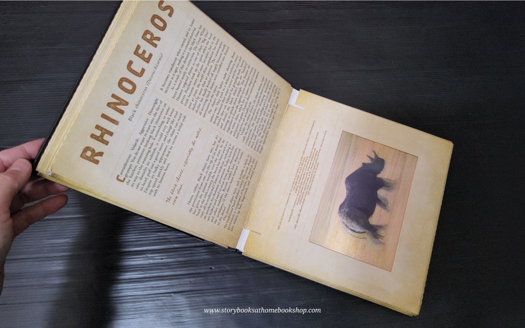 PHOTICULAR BOOK** 🍅SAFARI