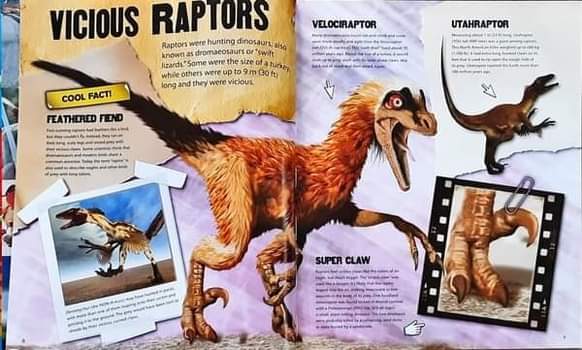 Knowledge Book** ð
ðGRUESOME AND FROSS FACTS over 1000 AMAZING FACTS