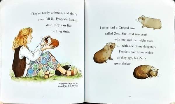 หนังสือนิทานปกอ่อน ** 🍅🍓I Love Guinea-Pigs by Dick King-Smith