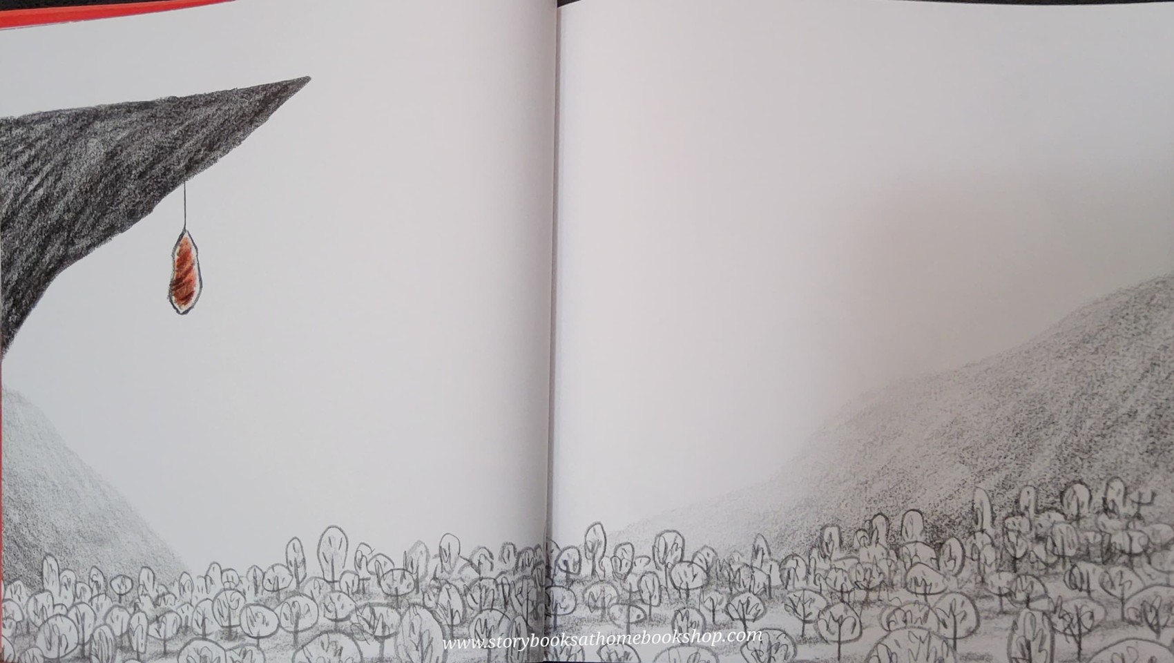 หนังสือนิทานปกอ่อน** 🍅🍅OUT OF NOW HERE BY CHRIS NAYLOR-BALLESTEROS