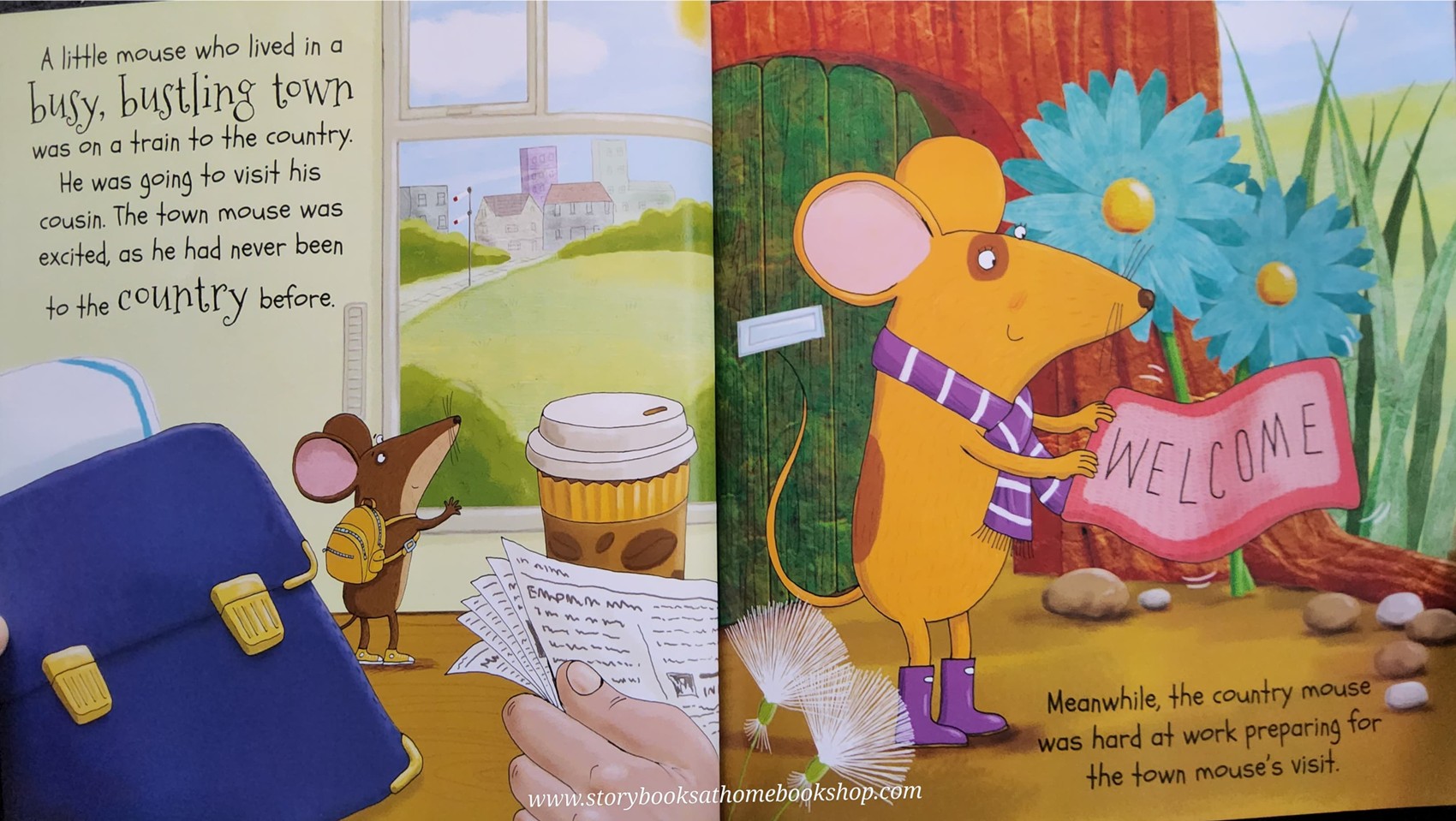 หนังสือนิทานปกอ่อน** 🍅🍓Aesop's Fables The Town Mouse and the Country Mouse