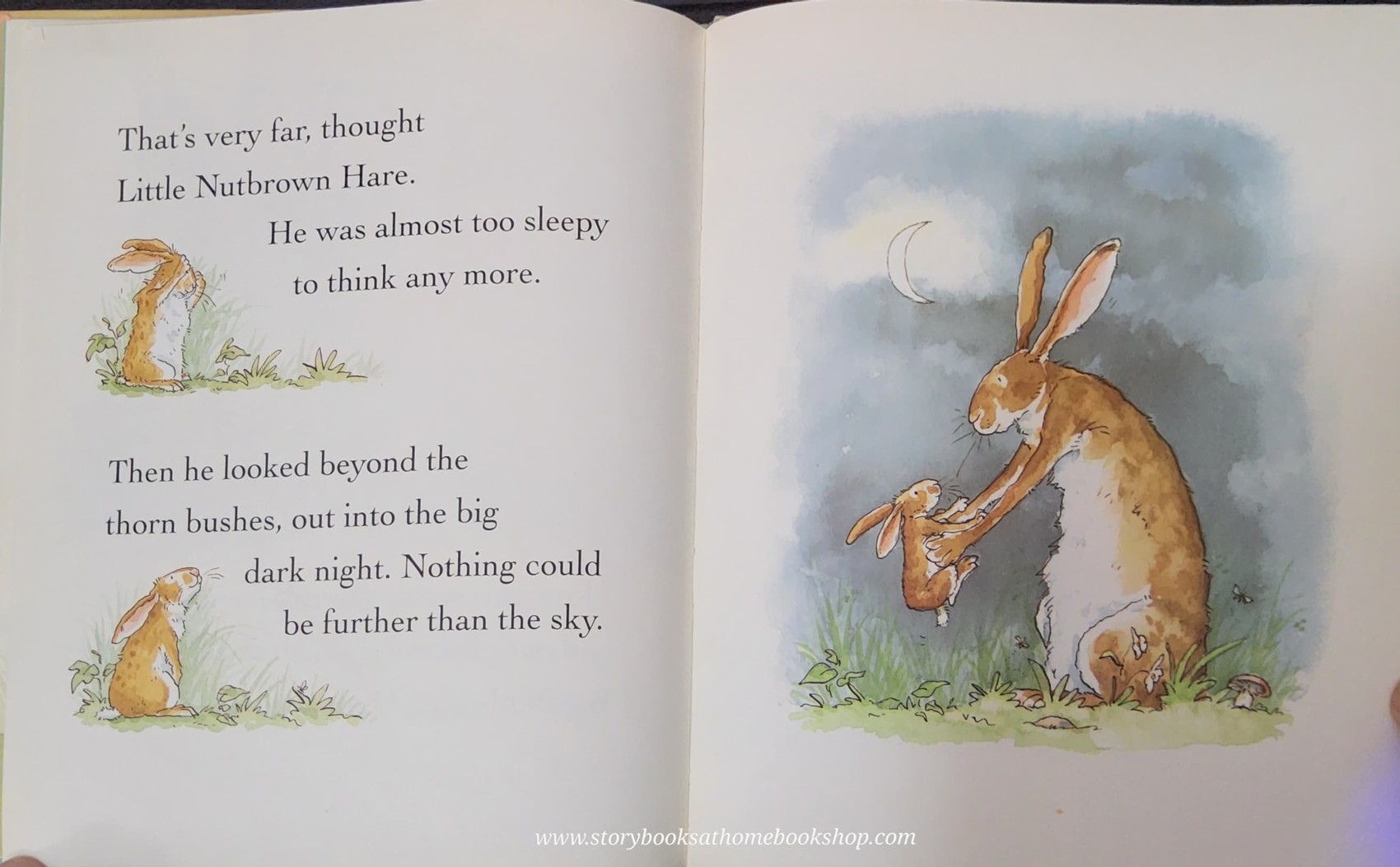 หนังสือนิทานปกแข็ง** 🍅 🍅GUESS HOW MUCH I LOVE YOU BY SAM McBrantney