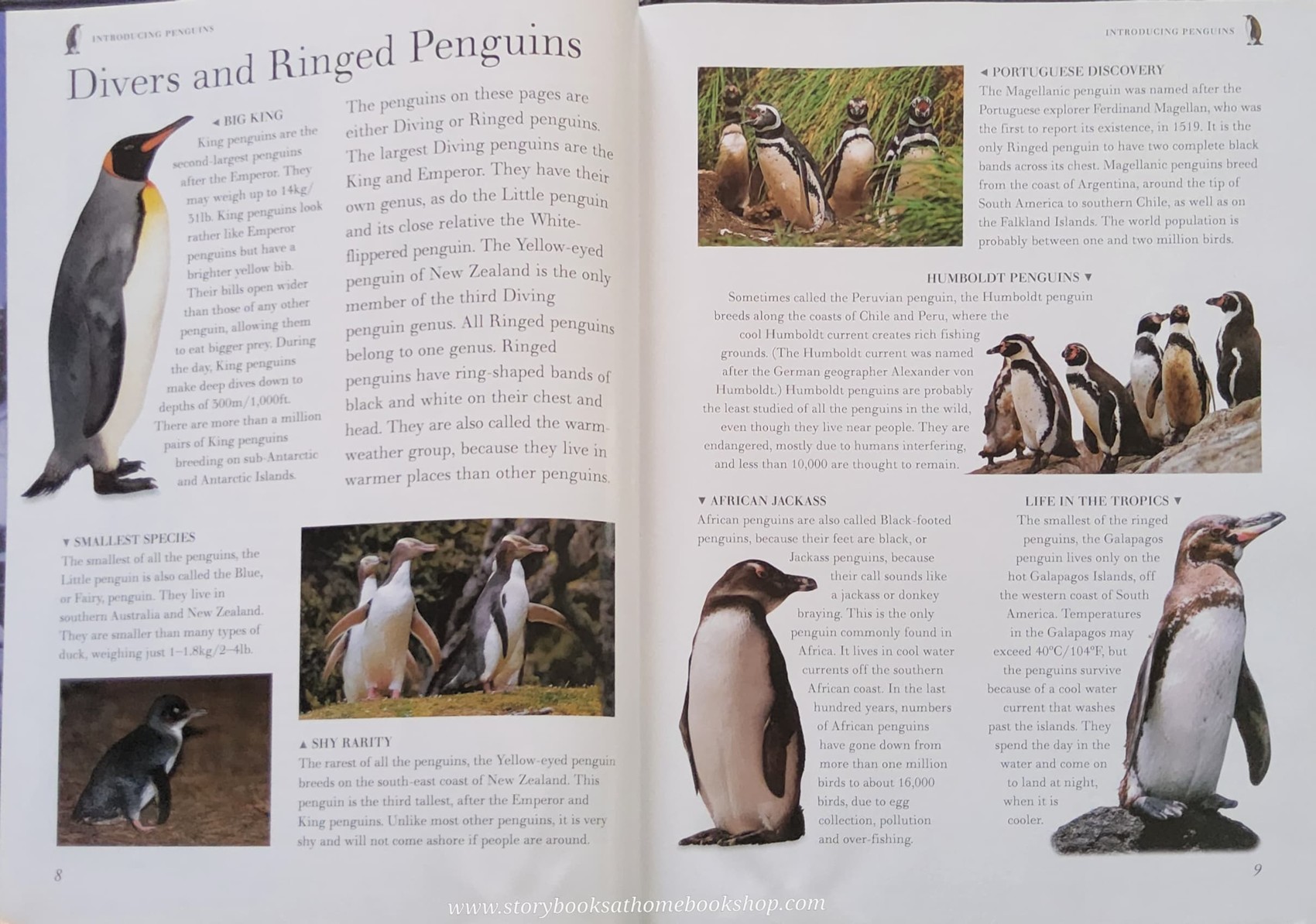 Knowledge Book** 🍅🍓EXPOLRING NATURE:FANTASTIC PENGUINS