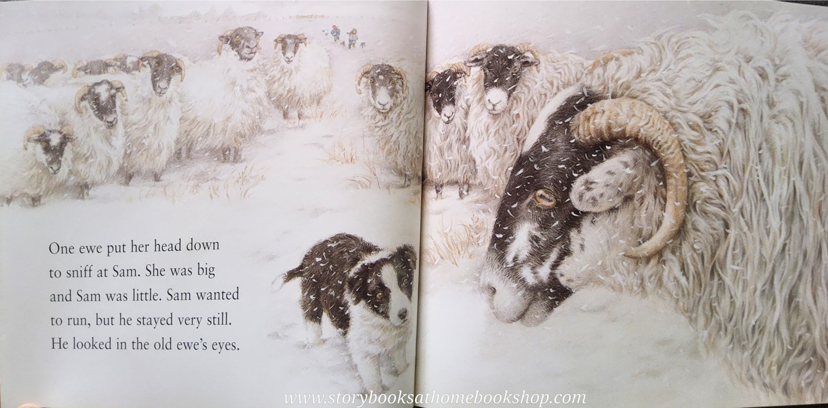 หนังสือนิทานปกอ่อน** 🍅🍓JUST LIKE FLOSS BY KIM LEWIS♥️♥️