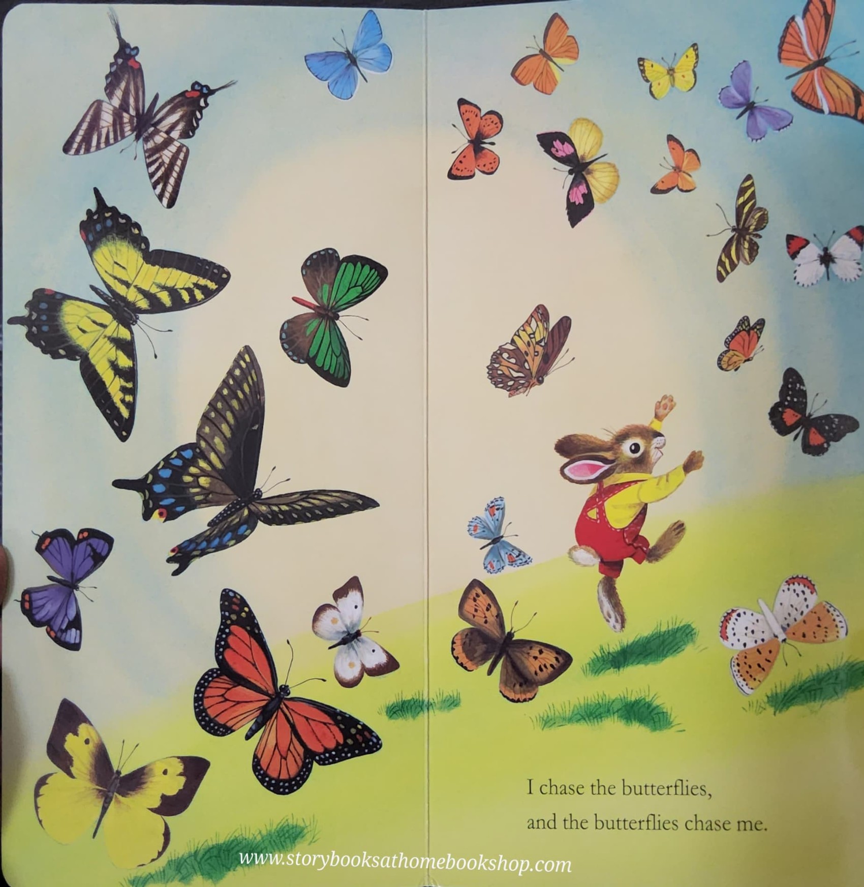 BOARD BOOK** ð
ð
RICHARD SCARRY'S I AM A BUNNY