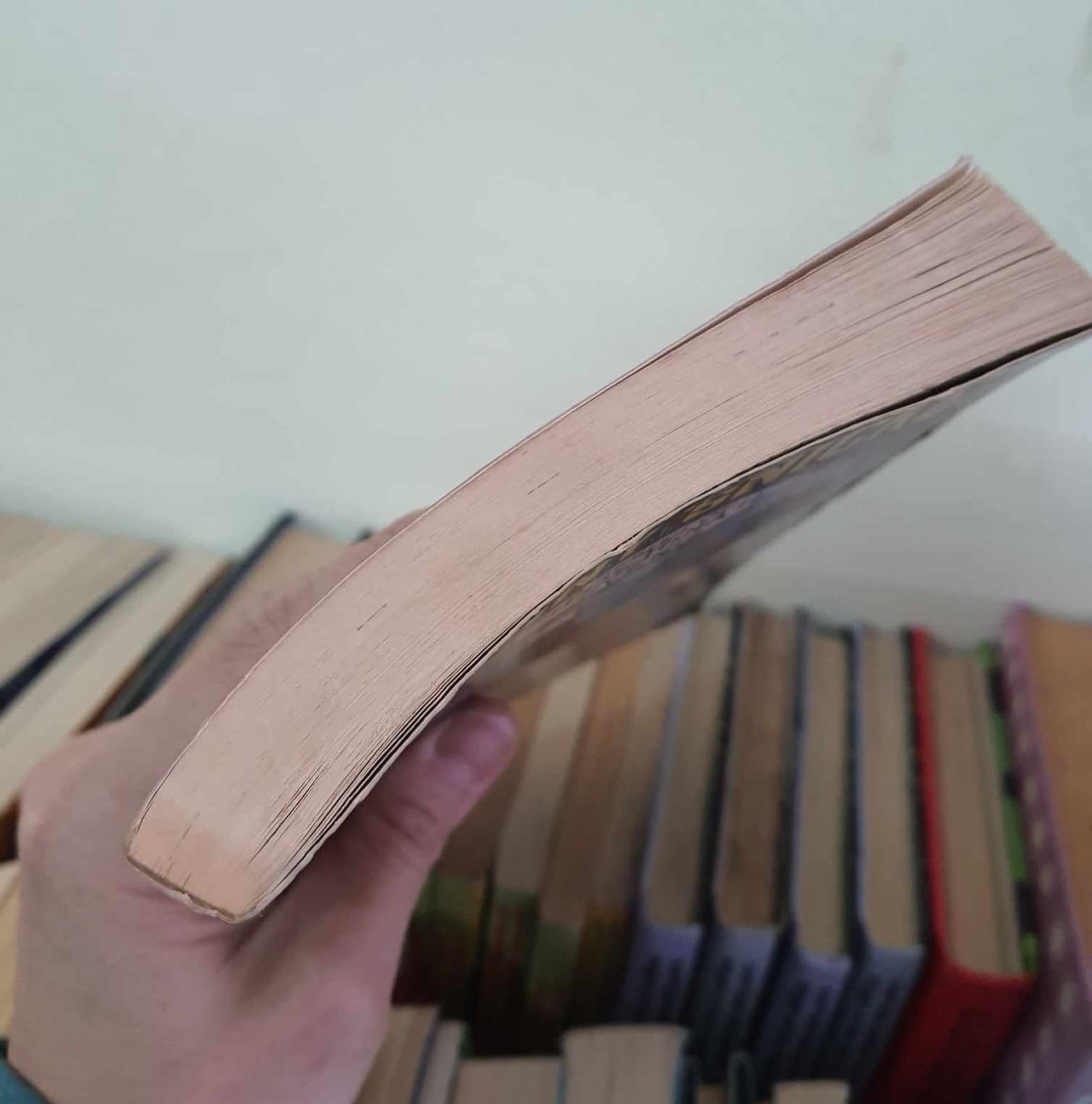 วรรณกรรมเยาวชน** **หนังสือนิทานปกอ่อน** 🍅🍓A SERIES OF UNFORTUNATE EVENTS: THE WIDE WINDOW BOOK THE THIRD BY LEMONY SNICKET