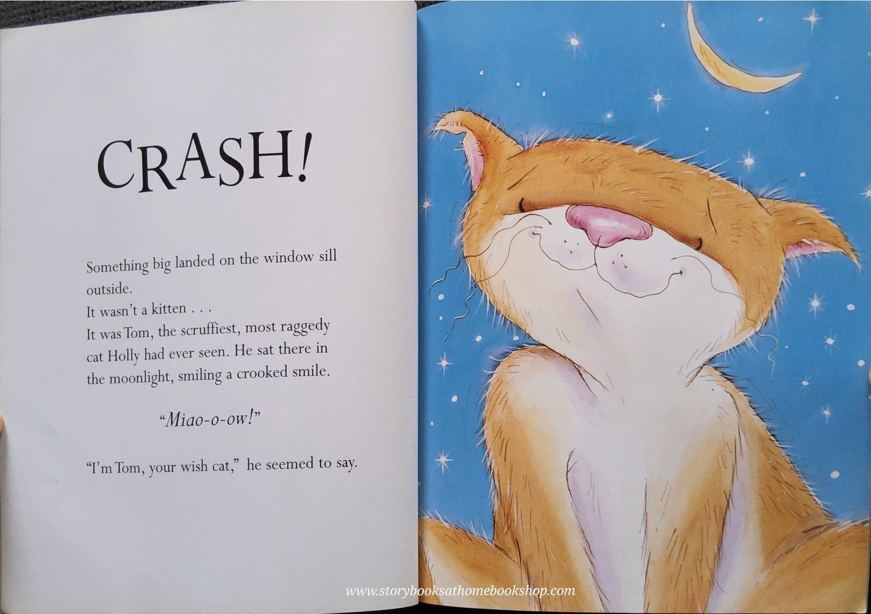 หนังสือนิทานปกอ่อน** 🍓🍓THE WISH CAT