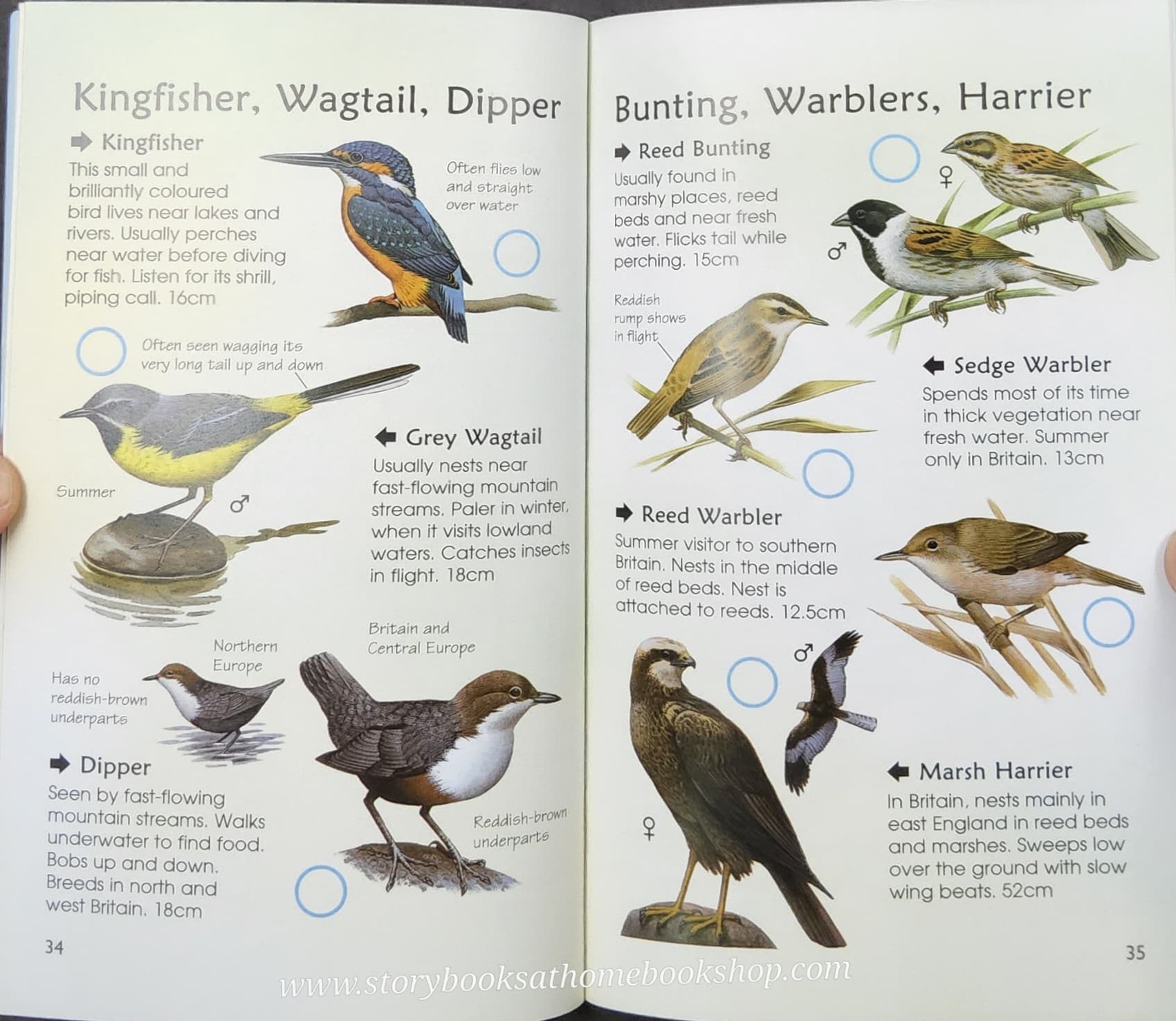 Knowledge Book** ð
ð
Usborne Spotter's Guide SEA&FRESHWATER BIRDS