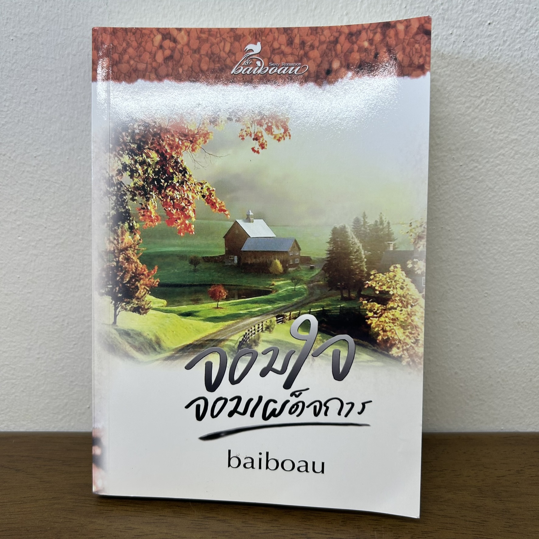 จอมใจจอมเผด็จการ ... baiboau ใบบัว (มือสอง) นิยาย โรมานซ์