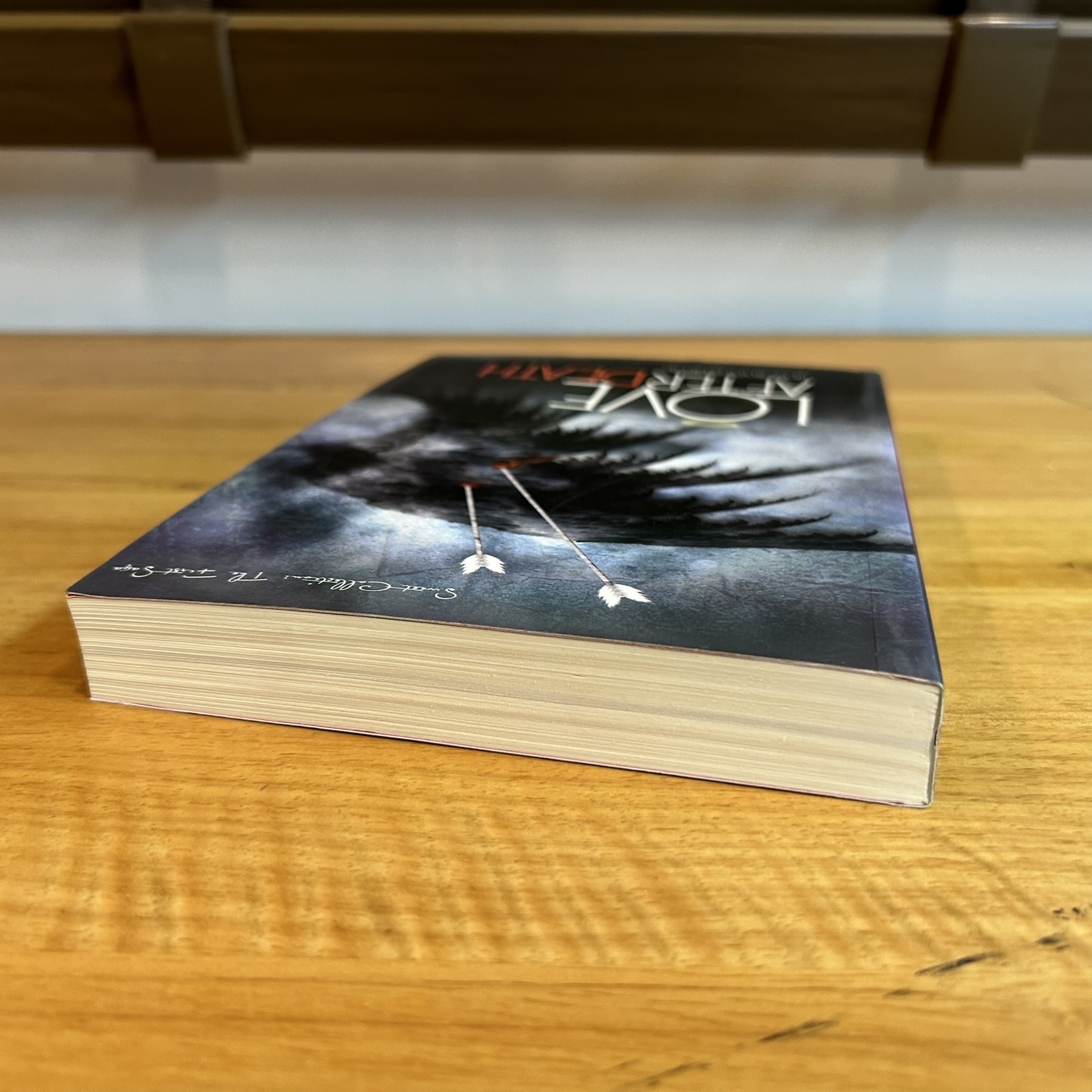 Love After Death: เราจะรักกันจนตาย ... MIRININTHEMOON (มือสอง) นิยายรัก โรแมนติก