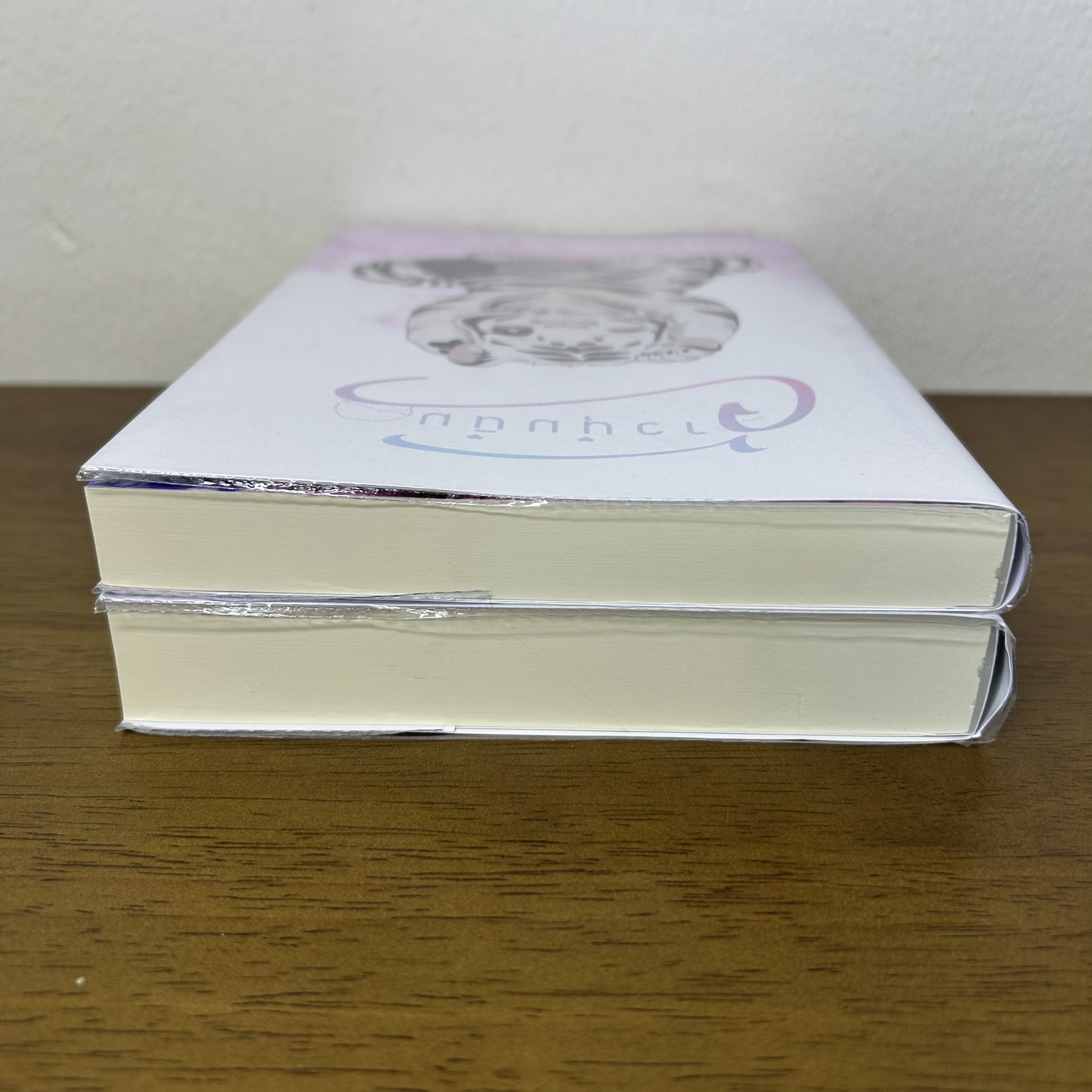 [YAOI] จ้าวป่า + จ้าวนุ่มนิ่ม 2 เล่ม ... Black Aye (มือสอง) นิยายวาย ทำมือ