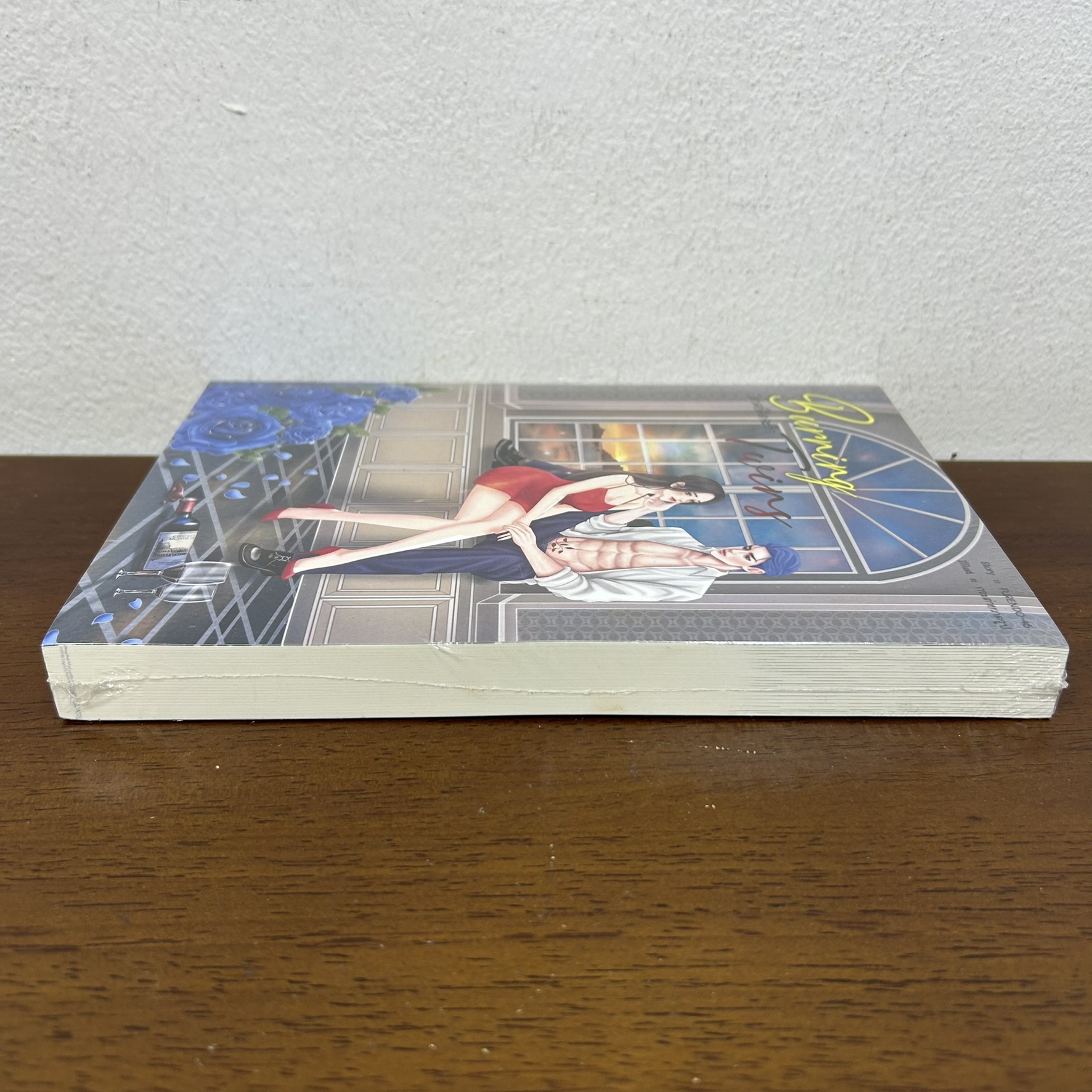 Burning Twins ภาคย์คิดจะรัก ... FURENDO-45 (มือหนึ่งซีล) นิยาย โรมานซ์