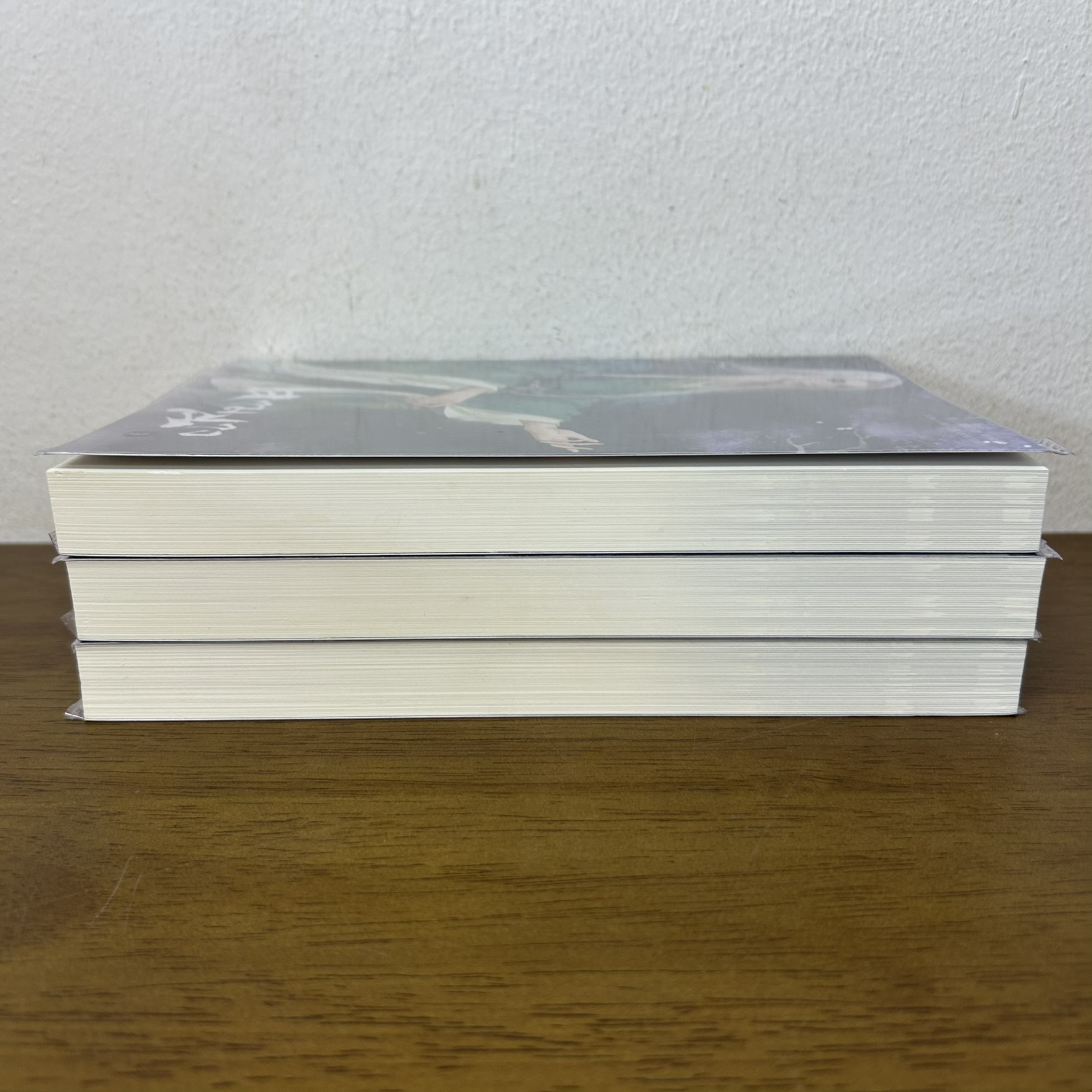 ชุด ตามนาง เล่ม 1-3 จบ ครบชุด ... yelixiaojie (มือสอง) นิยาย แปลจีน ห้องสมุด