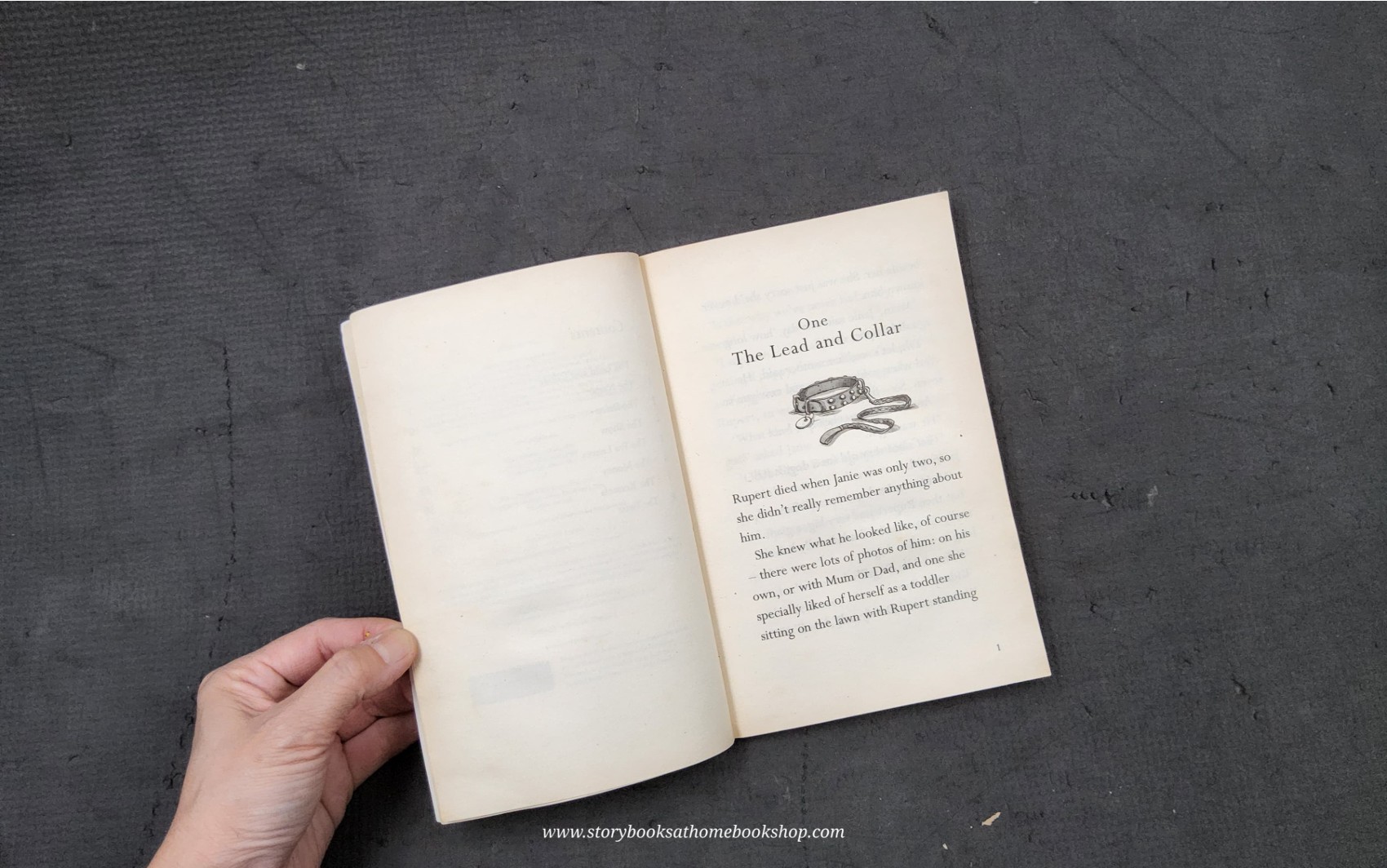 รรณกรรมเยาวชน** **หนังสือนิทานปกอ่อน** 🍅THE INVISIBLE DOG BY DICK KING-SMITH