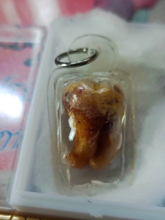 พระทันตธาตุ และรูปถ่ายบูชา ครูบาคำปัน ปภากโร (พระครูรัตนประภากร) วัดนาแส่ง ต.นาแส่ง อ.เกาะคา จ.ลำปาง เจ้าของชื่อ ลุงมูล อายุ 78 ปี ทำอาชีพขายของชำใน อ.ในเมือง จ.ลำปาง คุณลุงมูลเก็บวัตถุมงคลของครูบาคำปันไว้เยอะ โดยพระทันตธาตุนี้ได้มาเมื่อปี 2548