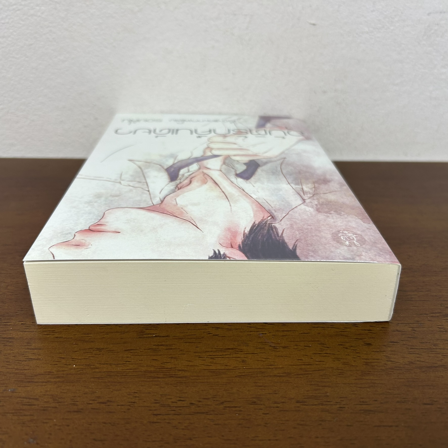 อุบัติรักคืนเดียว ... รอยฝัน (มือสอง) นิยาย โรแมนติก ทำมือ