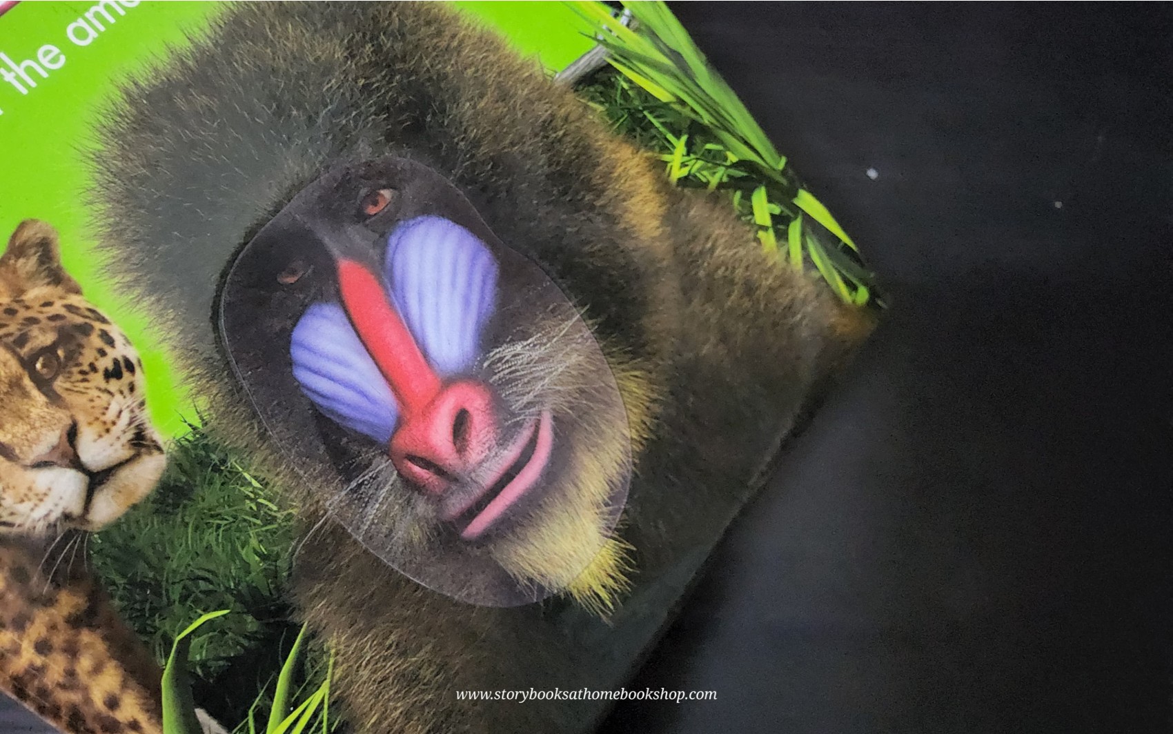 KNOWLEDGE BOOK** ð
ðTHE CHILDREN'S ENCYCLOPEDIA OF ANIMALS