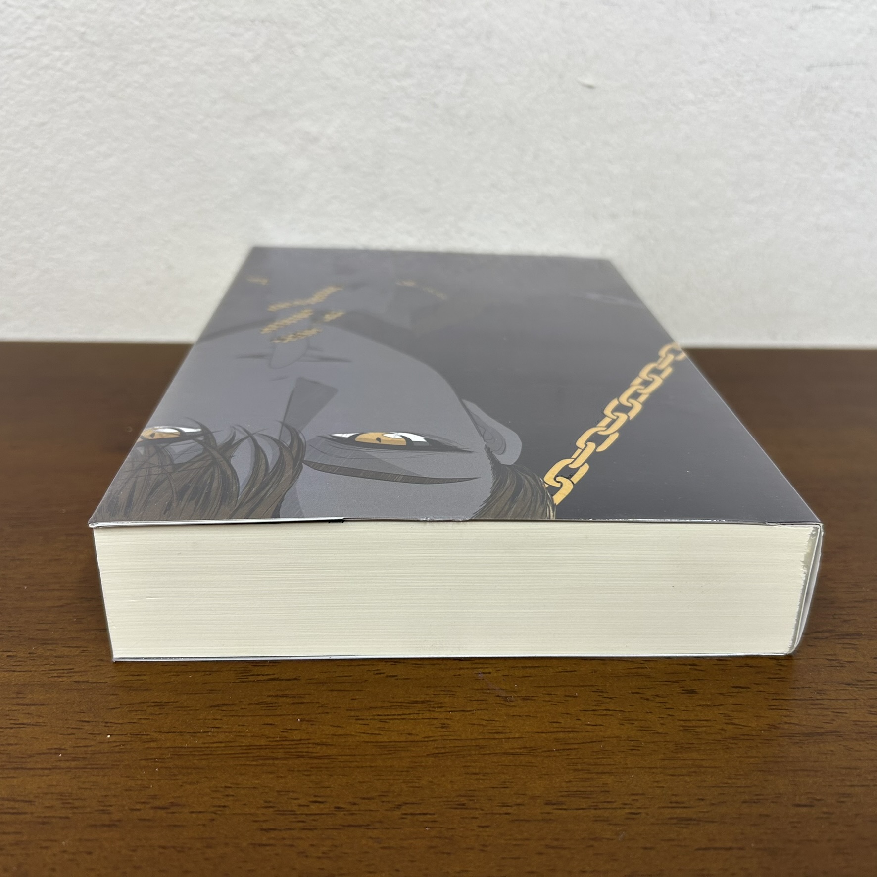 โซ่ล่ามใจ ... sp.9 (มือสอง) นิยาย โรแมนติก ทำมือ