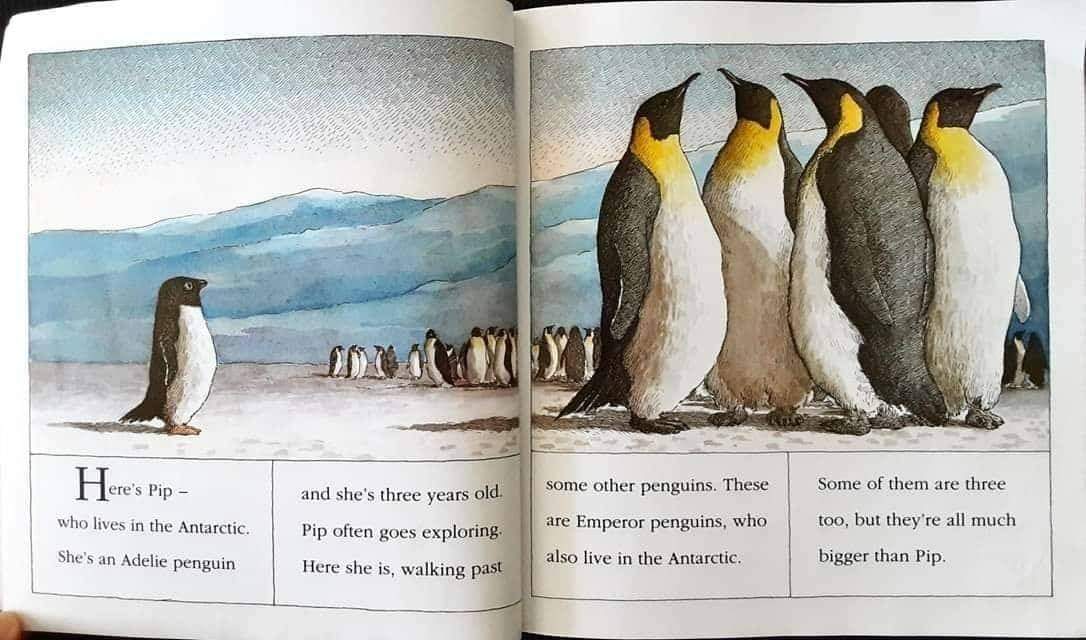 หนังสือนิทานปกอ่อน** 🍓🍓LITTLE PENGUIN BY PATRICK BENSON