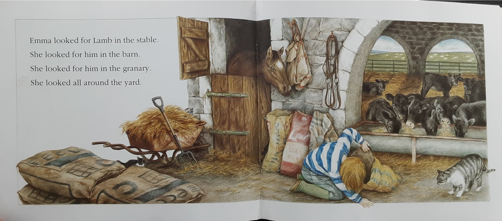 หนังสือนิทานเด็ก ปกอ่อน ภาษาอังกฤษ 🍅🍓EMMA'S LAMB BY KIM LEWIS/Used สภาพ 80-90%