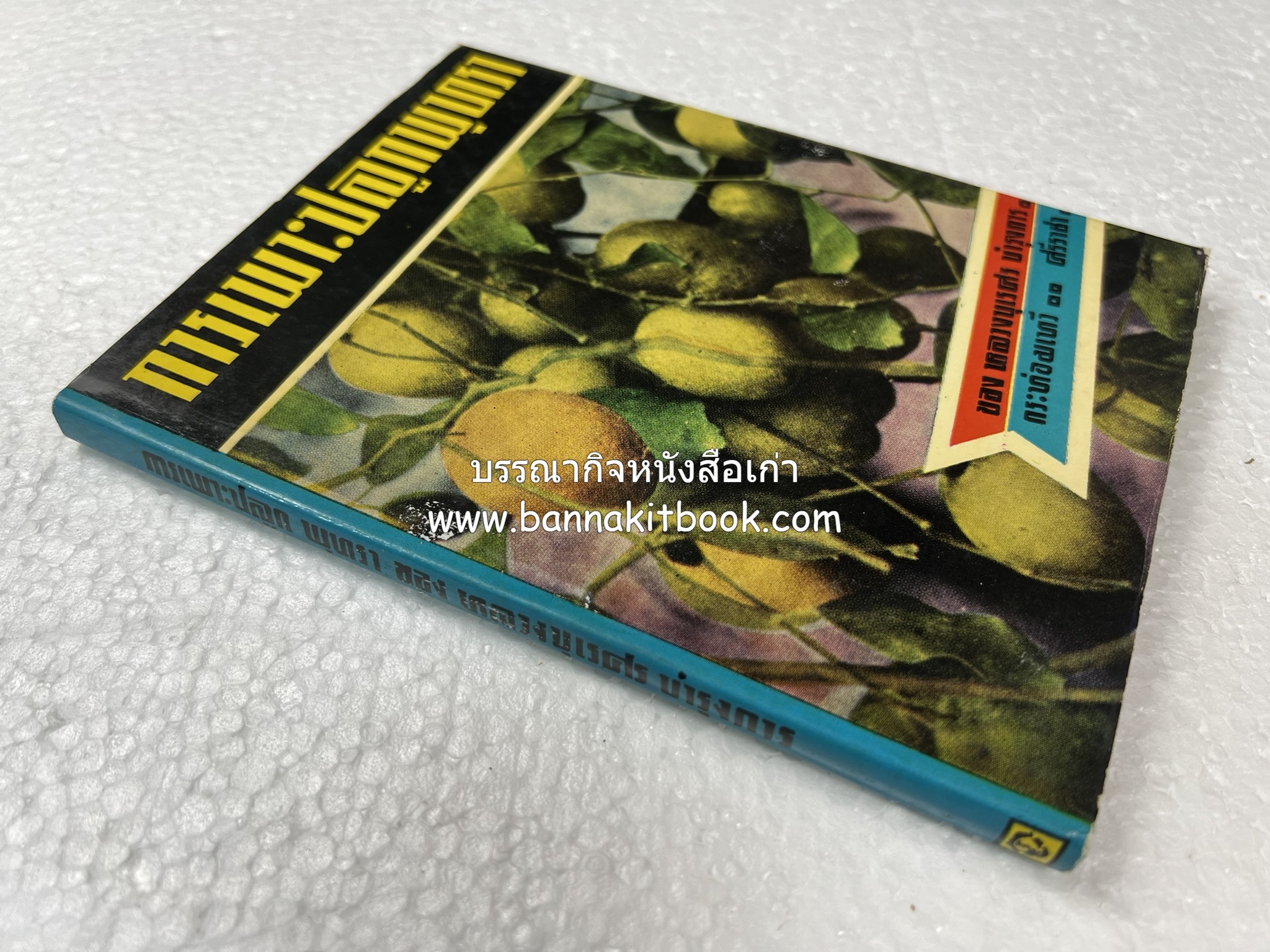 การเพาะปลูกพุทรา ตำราชุดเกษตรกรรม ของ หลวงบุเรศบำรุงการ.