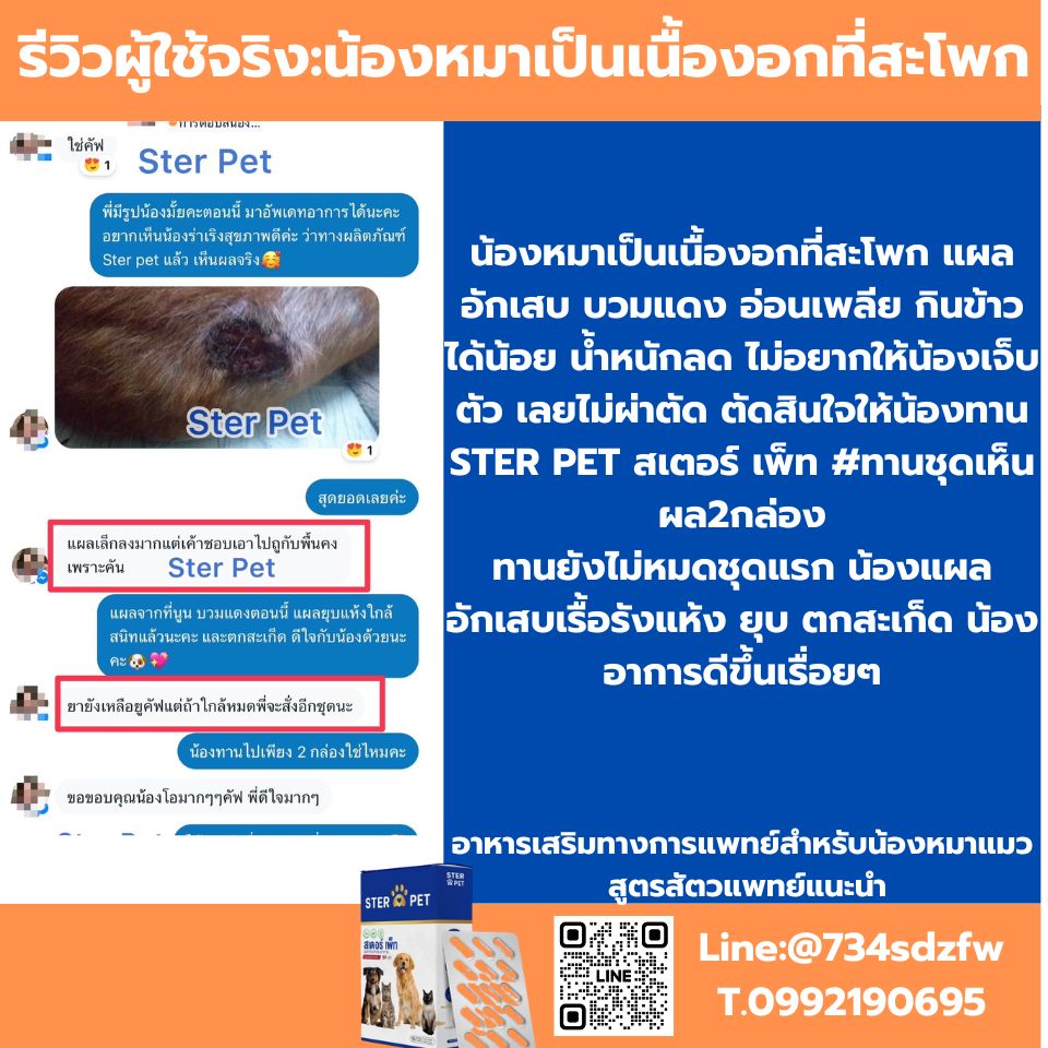 เซตทดลอง สเตอร์ เพ็ท Ster Pet เนื้องอกหมาแมว ก้อนเนื้อหมาแมว มะเร็งสุนัขแมว ลดอักเสบ ลดขนาดก้อนเนื้อ เบื่ออาหาร น้ำหนักลด ไตวายหมาแมว แผลยุบเร็ว ( 15 แคปซูล)