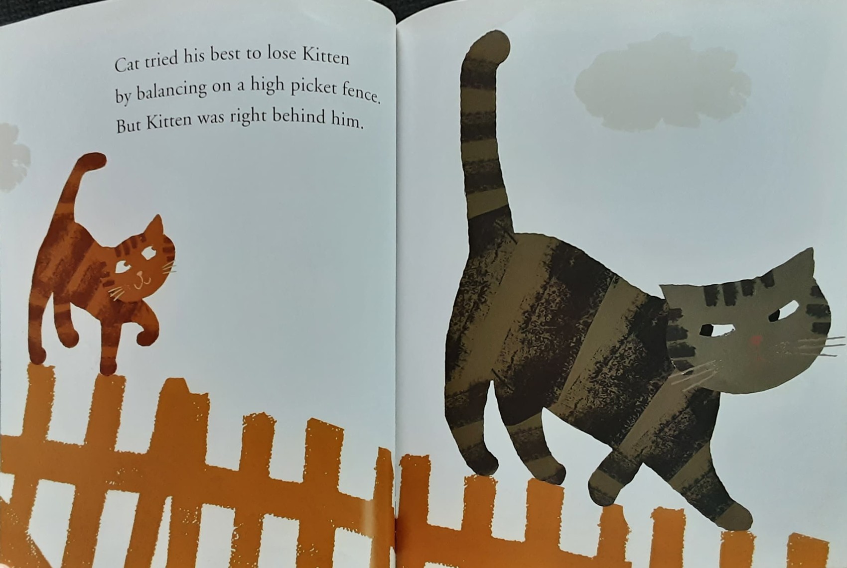 หนังสือนิทานปกอ่อน 🍅🍓Grumpy Cat