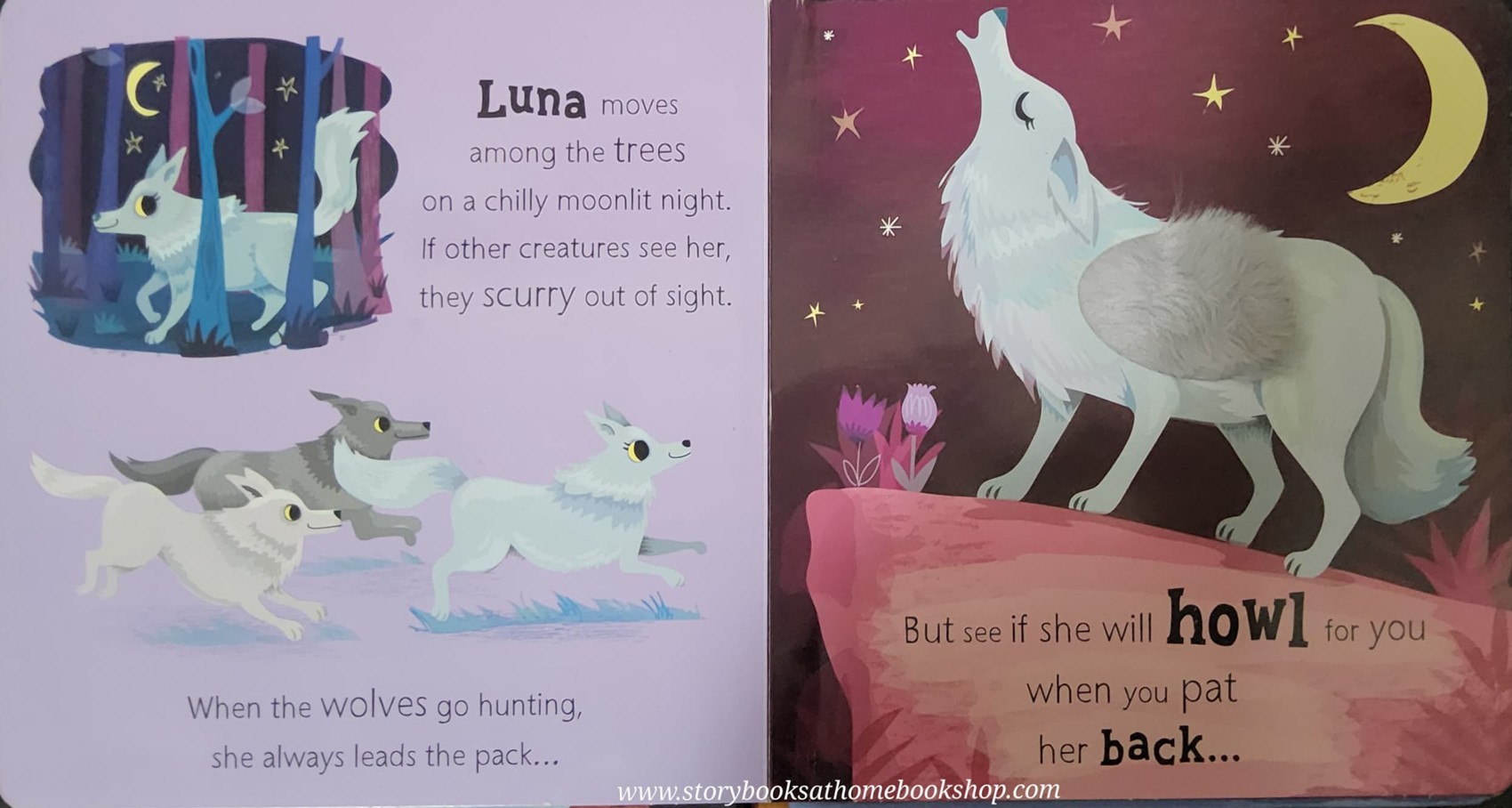 SOUND Board Book** 🍅🍓OWL SAYS HOOT WITH 6 SOUNDS