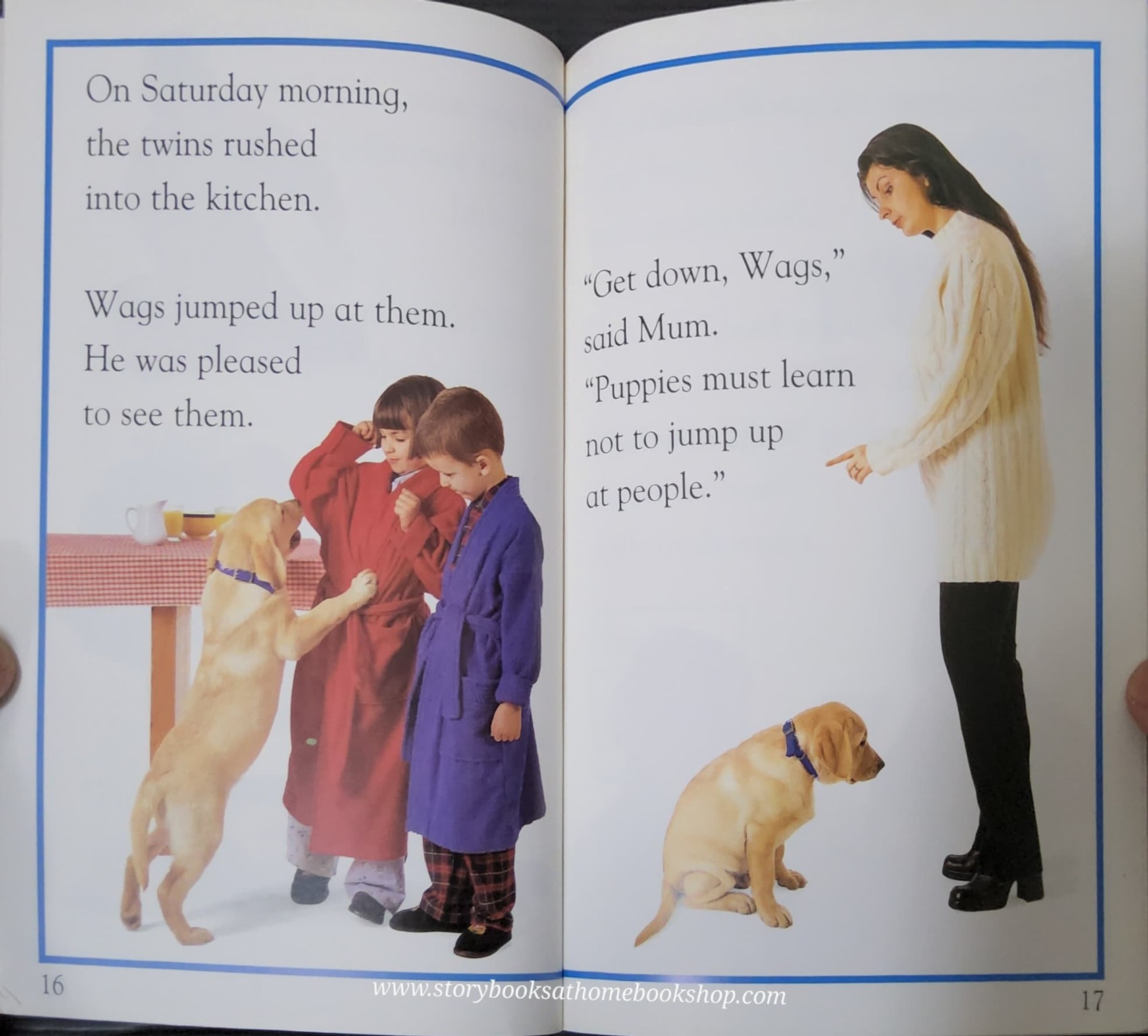 หนังสือนิทานปกอ่อน** 🍅🍓DK KINDERSLEY READERS:SURPRISE PUPPY! #1