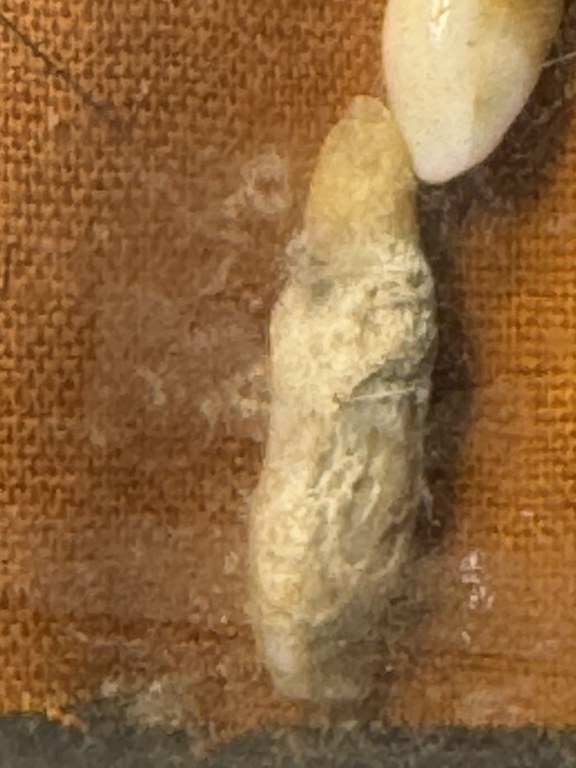 พระทันตธาตุหลวงปูู่่แสวง วัดศิลาวารี อ.เถิน จ.ลำปาง ได้มาจากคุณลุงประเสริฐ อายุ 82 ปี คุณลุงประเสริฐ ได้มาจากลุงสมหมาย อายุ 74 ปี อาชีพขับรถรับส่งคนจากอำเภอเถิน - เข้าเมืองลำปาง และได้รับพระทันตธาตุนี้มาเมื่อปี 2548