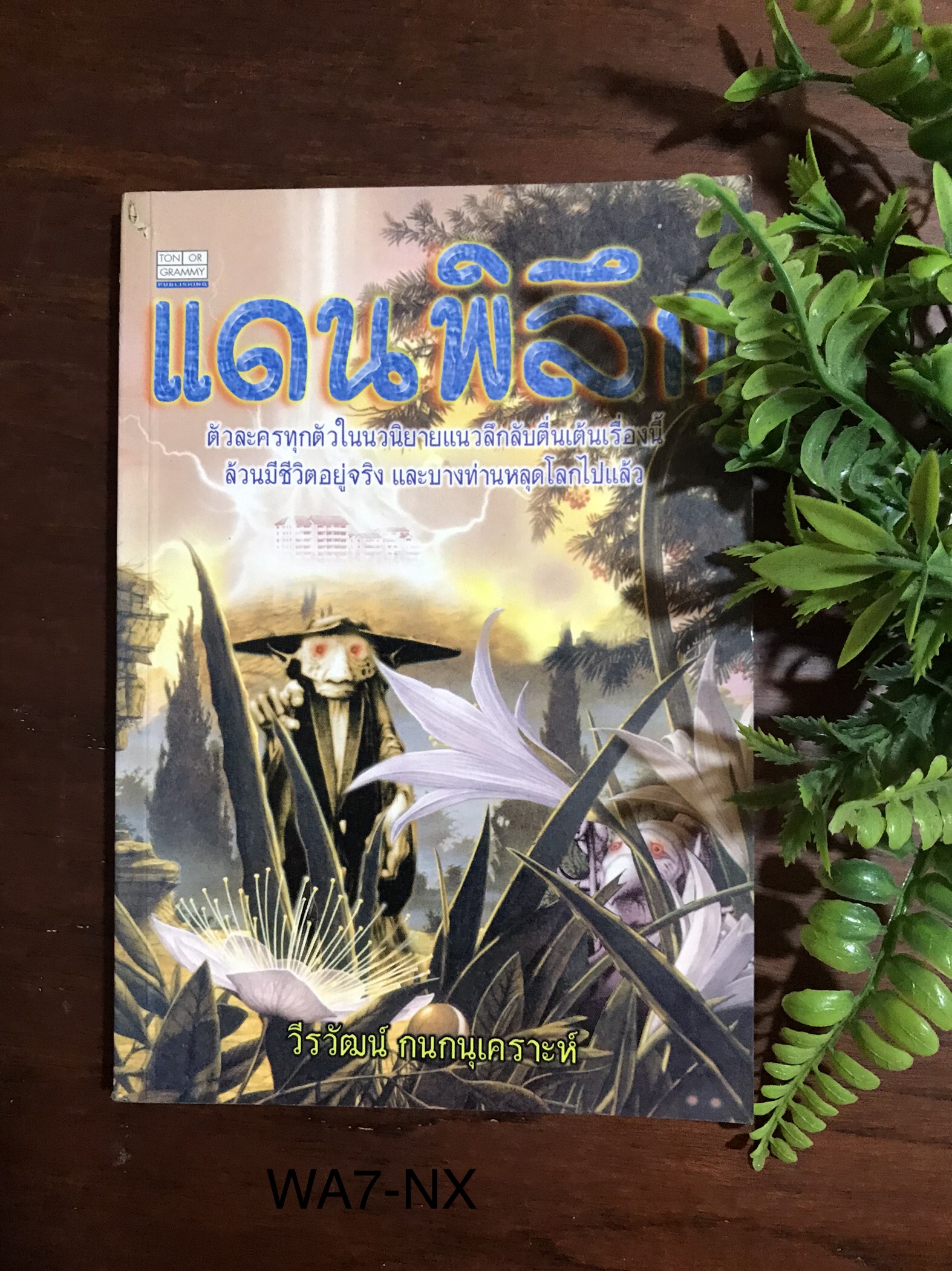 แดนพิลึก ผู้เขียน วีรวัฒน์ กนกนุเคราะห์ สำนักพิมพ์ต้นอ้อแกรมมี่