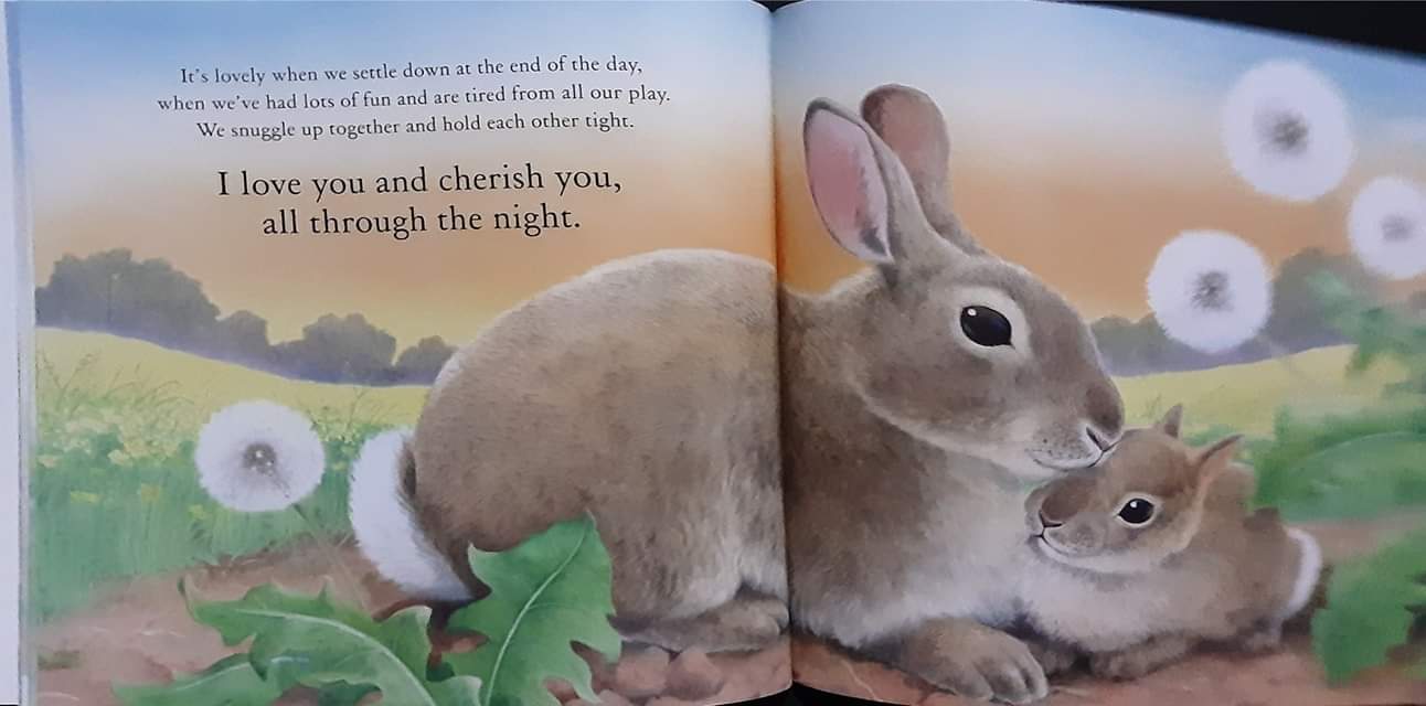 หนังสือนิทานปกอ่อน ** 🍅🍓A MOMENT LIKE THIS