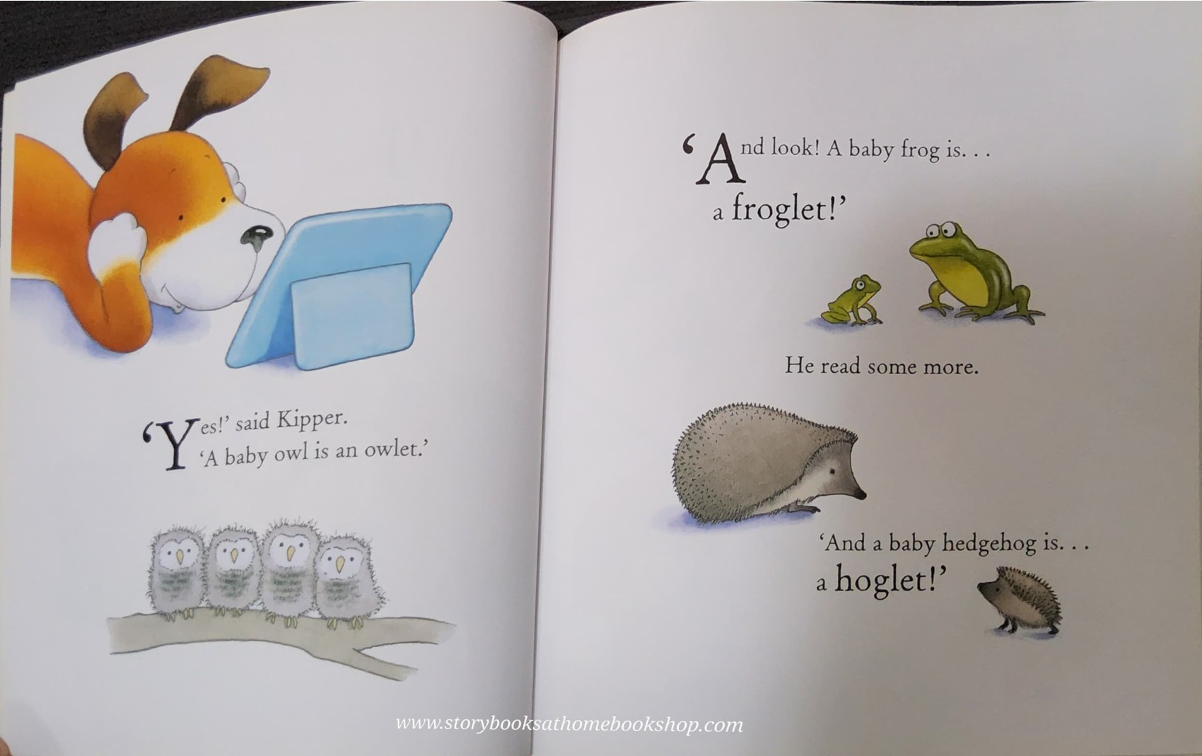 หนังสือนิทานปกแข็ง** 🍅🍓KIPPER'S LITTLE FRIENDS BY MICK INKPEN