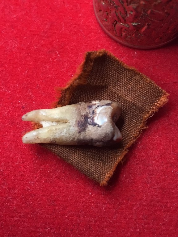 พระทันตธาตุครูบาแสง วัดร่องช้าง จ.ลำพูน ได้มาจากลุงประสิทธิ์ อดีตนายอำเภอ เวียงหนองล่อง อายุ 74 ปี เล่าว่าได้มา เมื่อสมัยที่ท่านเป็นปลัดอำเภอ อ.ป่าซาง เมื่อปี 2532 ได้จากผู้ช่วยผู้ใหญ่บ้านใน อ.ป่าซาง ซื่อว่าวิโรจน์ซึ่งมีศักดิ์เป็นหลานครูบาแสง