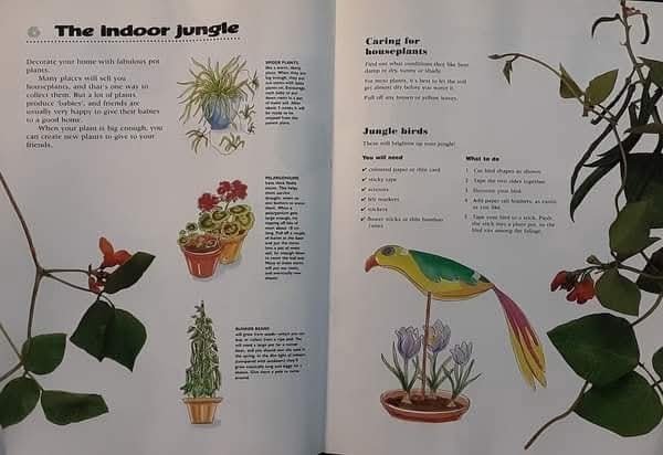 Activities Book** ð
ðRoots and Shootsand Wellington Boots