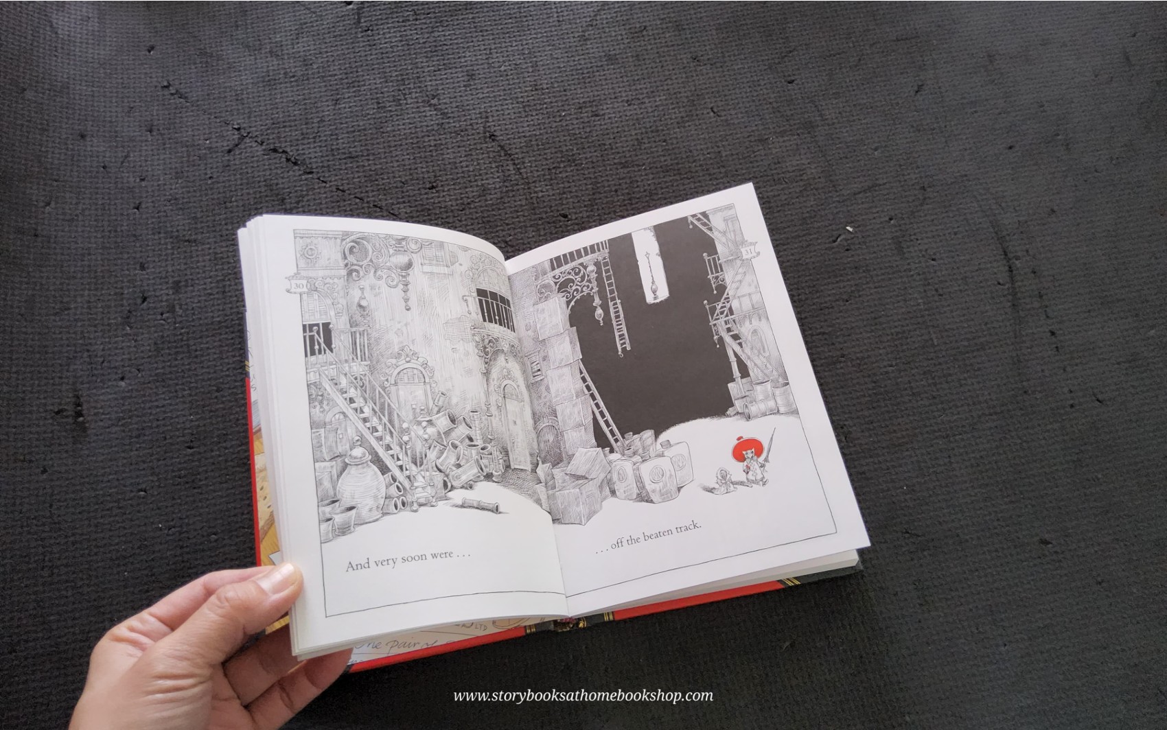 วรรณกรรมเยาวชน** **หนังสือนิทานปกแข็ง** 🍅🍓CHRIS RIDDELL:OTTOLINE AND THE YELLOW CAT