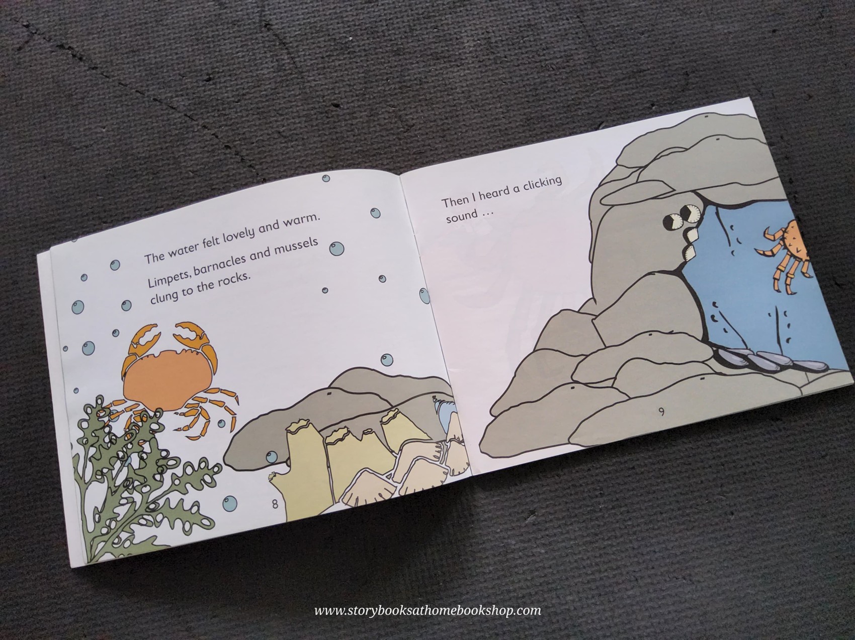 หนังสือนิทานปกอ่อน** 🍅🍓SPLISH SPLASH SPLOSH BY ANDREW HAMMOND AND TONY MITTON #1