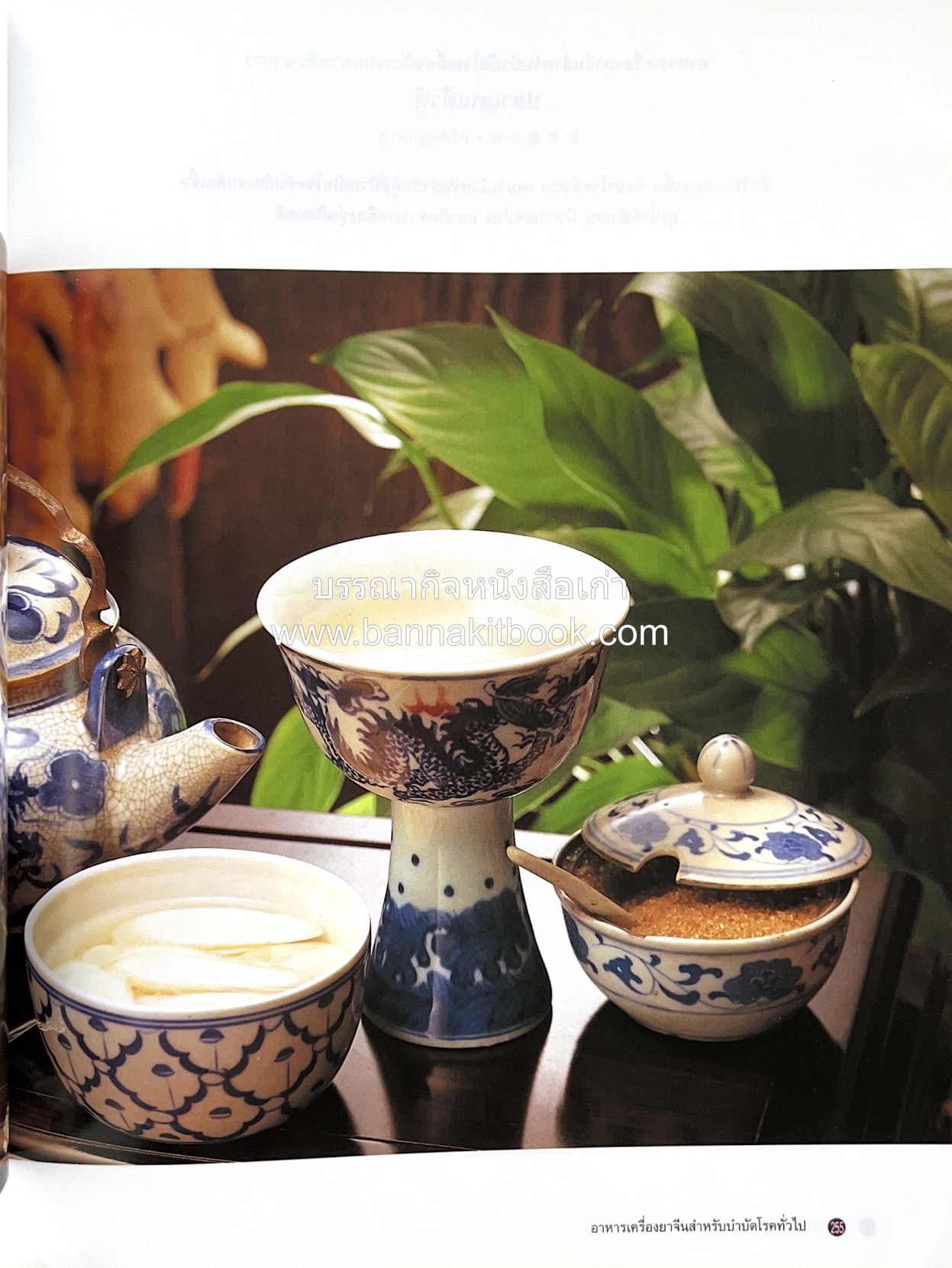 อาหารเครื่องยาจีน : หลักโภชนาการพร้อมสูตรอาหารอายุวัฒนะ โดย : รศ.ดร.ประพิณ มโนมัยวิบูลย์ และคณะ.