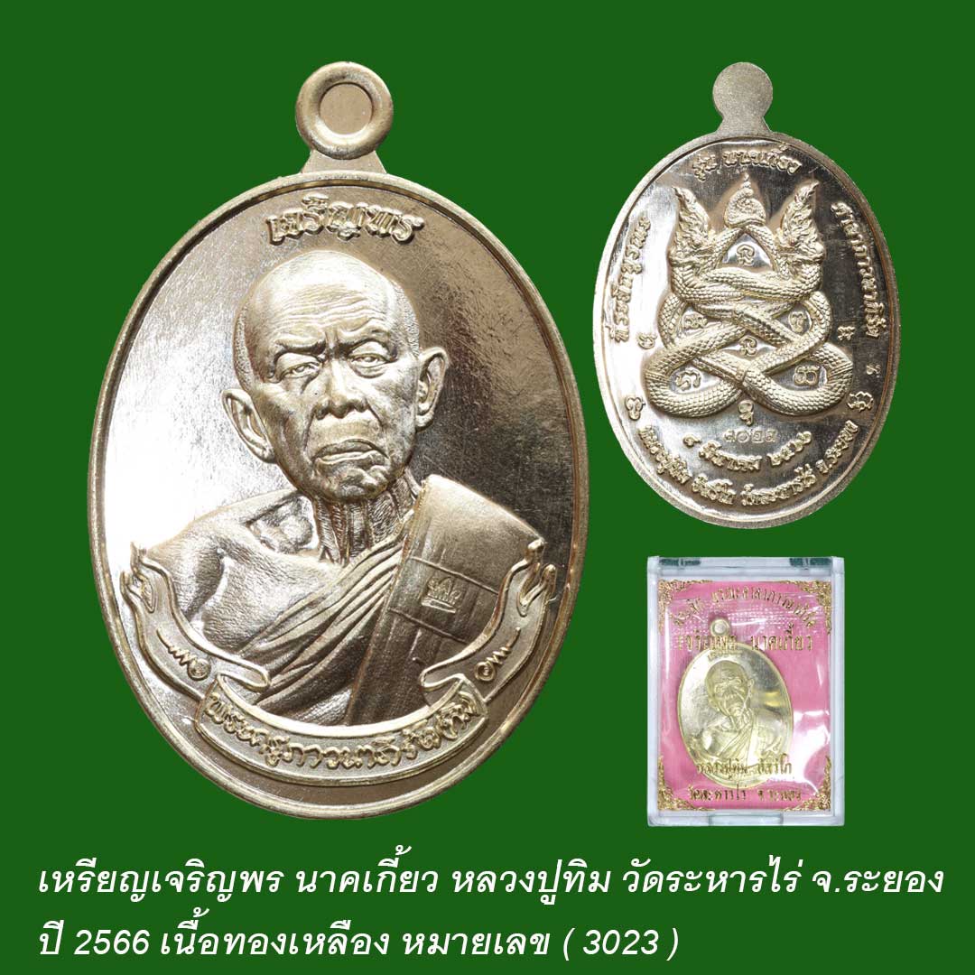 เหรียญนาคเกี้ยว หลวงปู่ทิม วัดระหารไร่ ปี2566 เนื้อทองเหลือง