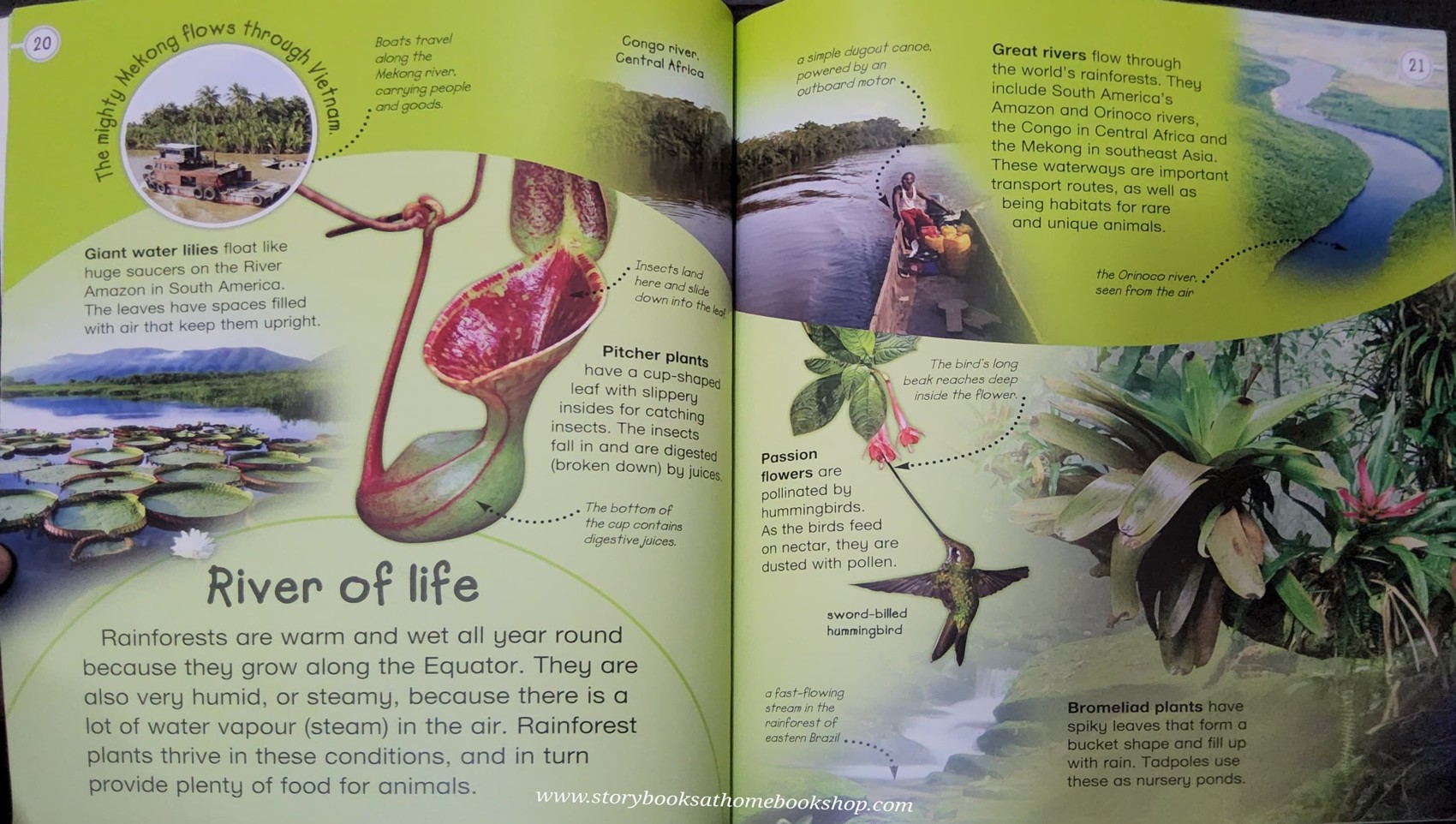 KNOWLEDGE BOOK** ð
ð
EXPLORERS RAINFORESTS