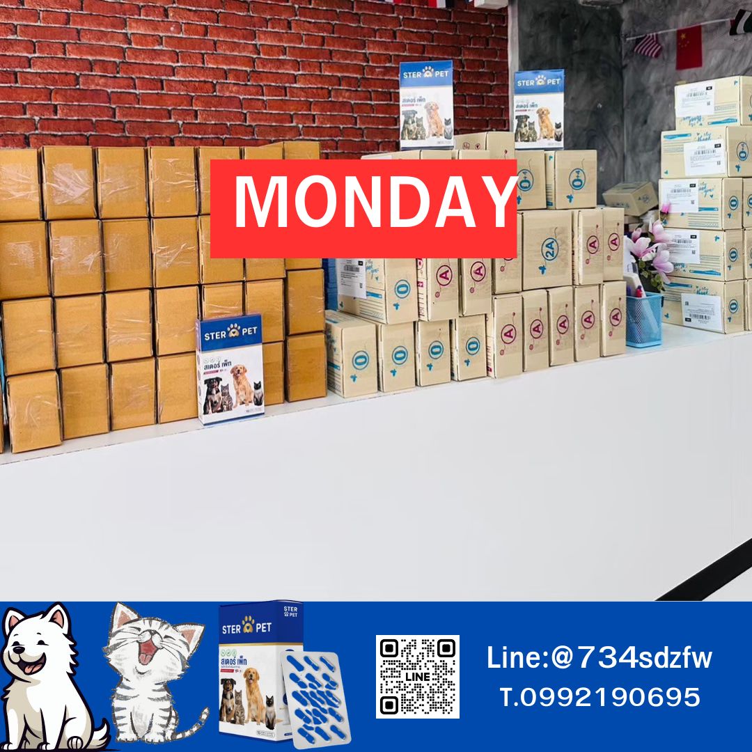 เซตทดลอง สเตอร์ เพ็ท Ster Pet เนื้องอกหมาแมว ก้อนเนื้อหมาแมว มะเร็งสุนัขแมว ลดอักเสบ ลดขนาดก้อนเนื้อ เบื่ออาหาร น้ำหนักลด ไตวายหมาแมว แผลยุบเร็ว ( 15 แคปซูล)