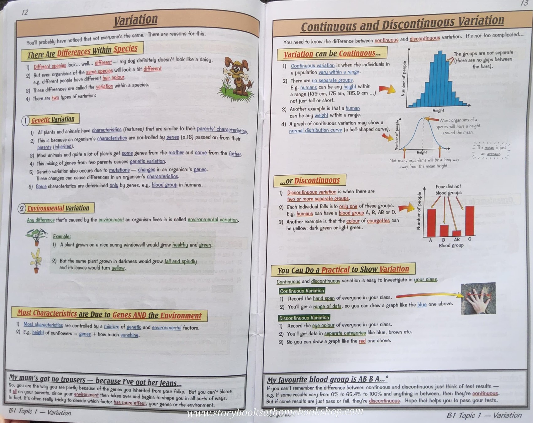TEXTBOOK** 🍓🍓 CGP: GCSE Core Science Tge Revision Guide (FOR Year 10 exams)