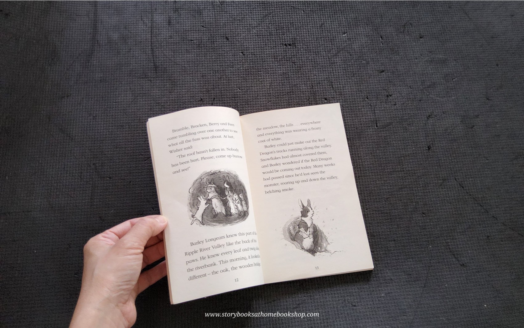 วรรณกรรมเยาวชน** 🍅The Railway Rabbites: Berry Goes to Winterland by Georgie Adams Anna Currey