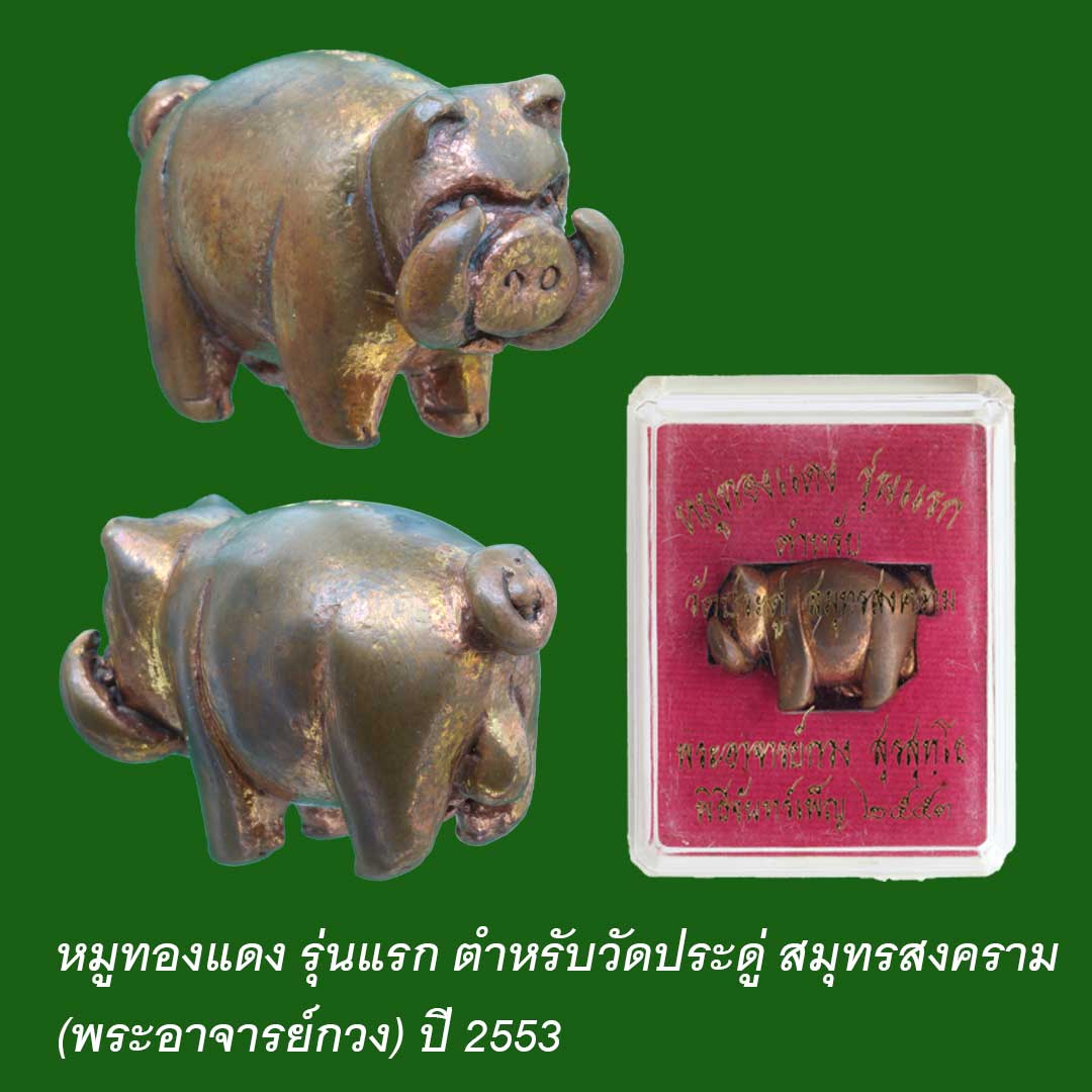 หมูทองแดง รุ่นแรก ตำหรับวัดประดู่ สมุทรสงคราม (พระอาจารย์กวง) พระมหาสุรศักดิ์ฯ ปลุกเสกพิธีจันทร์เพ็ญ ปี ๒๕๕๓